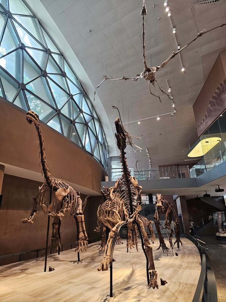 ไอซ์ - ศรัณยู วินัยพานิช