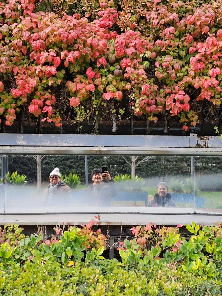 ไอซ์ - ศรัณยู วินัยพานิช