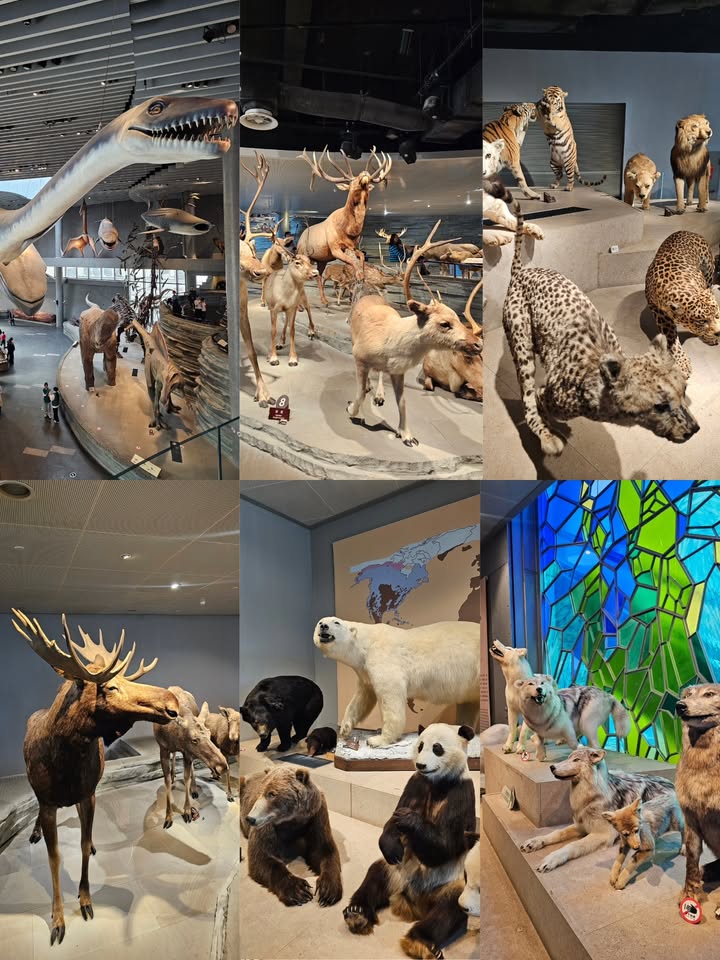 ไอซ์ - ศรัณยู วินัยพานิช