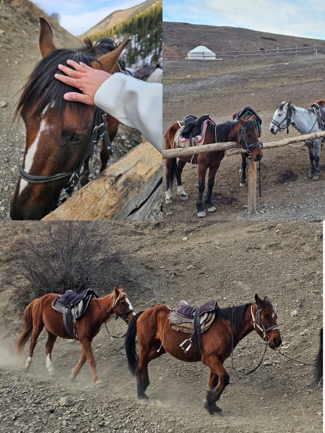 ไอซ์ - ศรัณยู วินัยพานิช