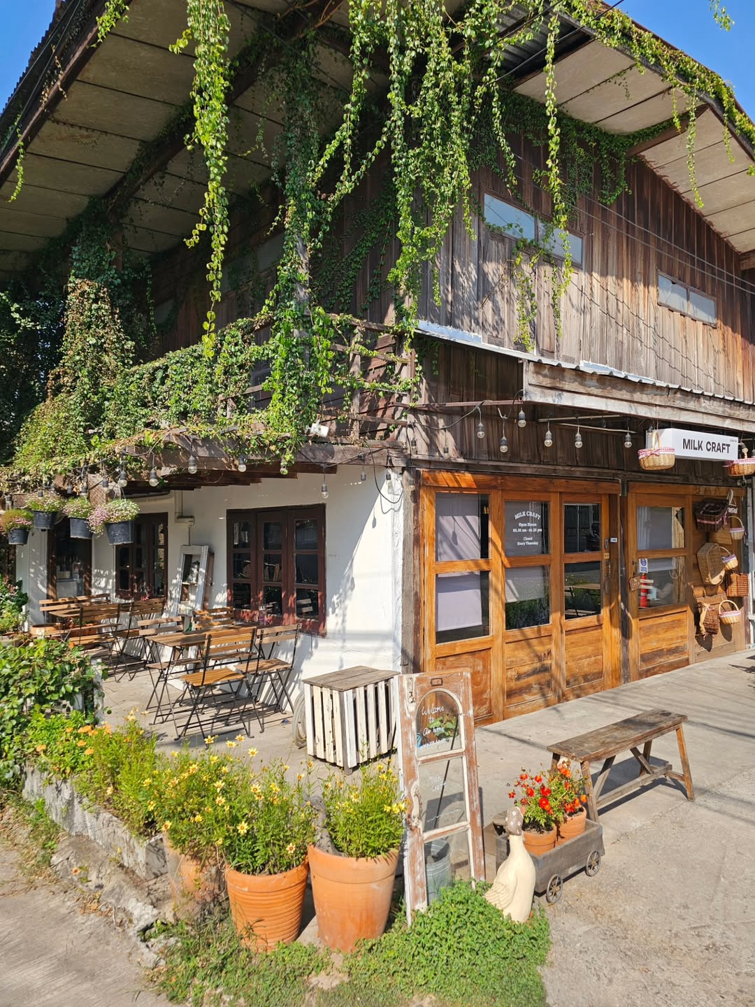 ไอซ์ - ศรัณยู วินัยพานิช