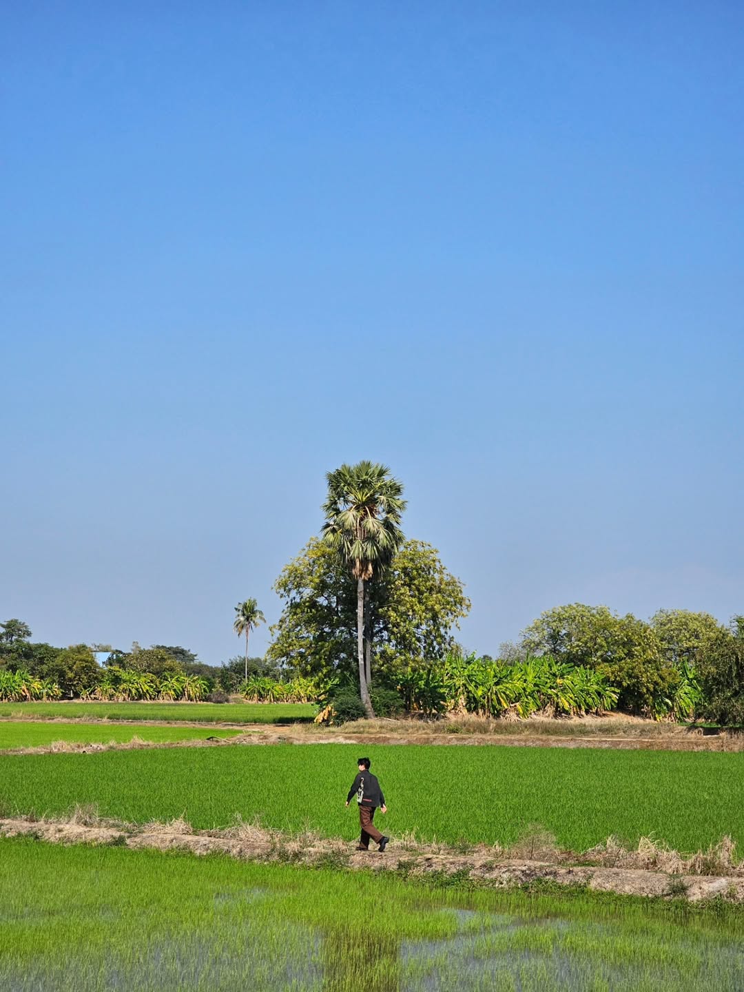ไอซ์ - ศรัณยู วินัยพานิช