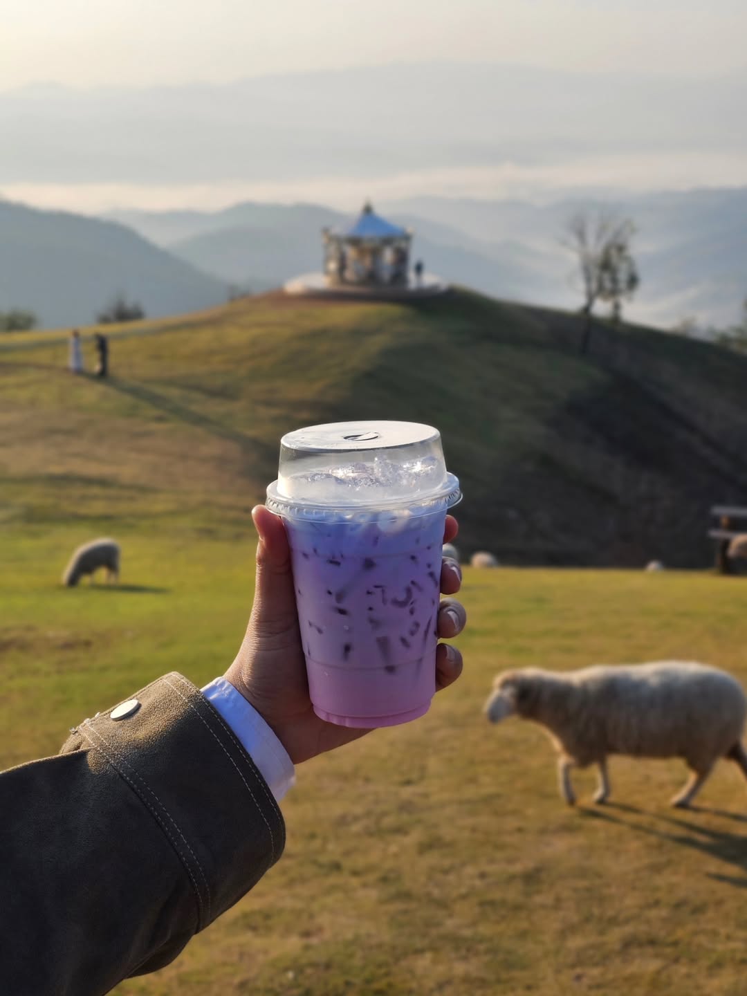 ไอซ์ - ศรัณยู วินัยพานิช