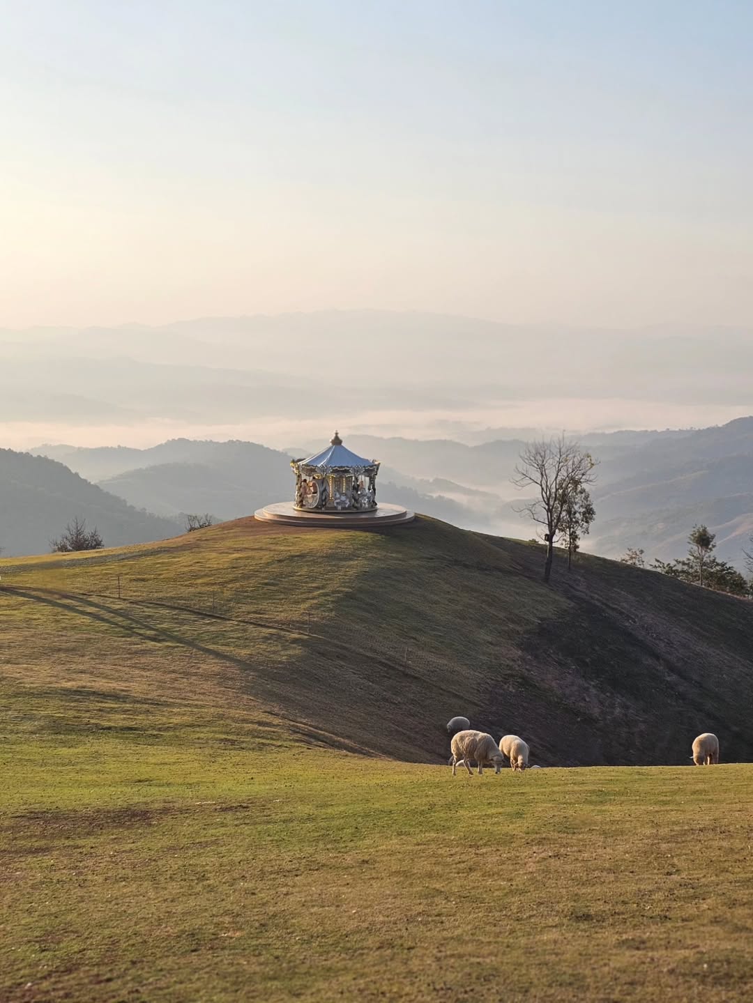 ไอซ์ - ศรัณยู วินัยพานิช