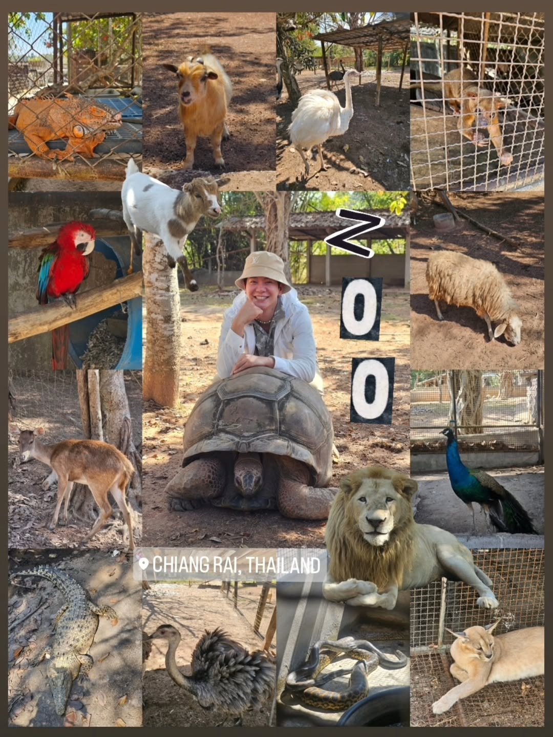 ไอซ์ - ศรัณยู วินัยพานิช