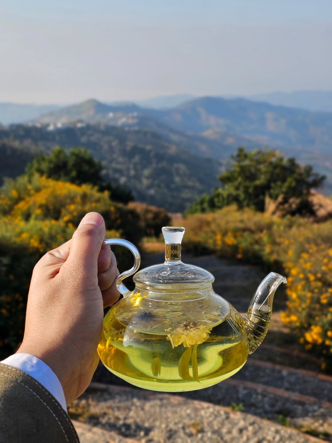 ไอซ์ - ศรัณยู วินัยพานิช