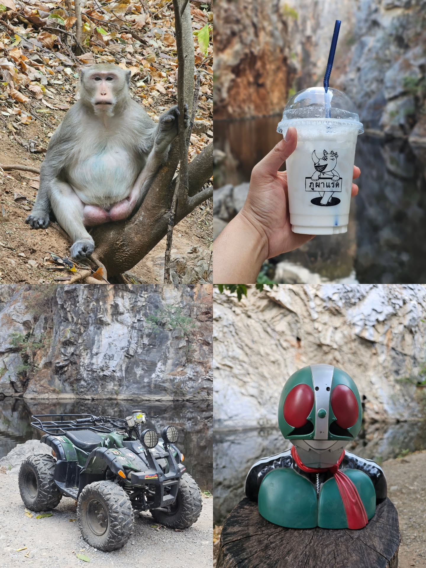 ไอซ์ - ศรัณยู วินัยพานิช