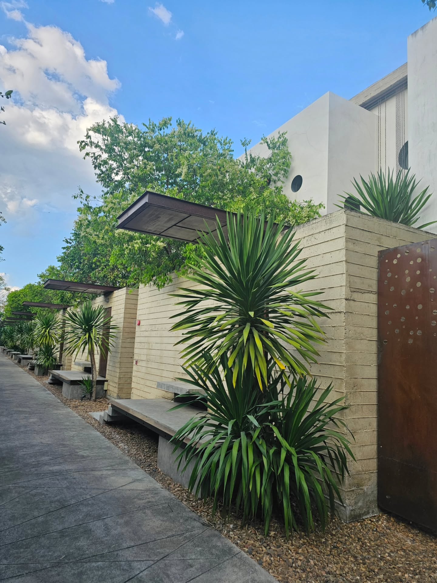 ไอซ์ - ศรัณยู วินัยพานิช