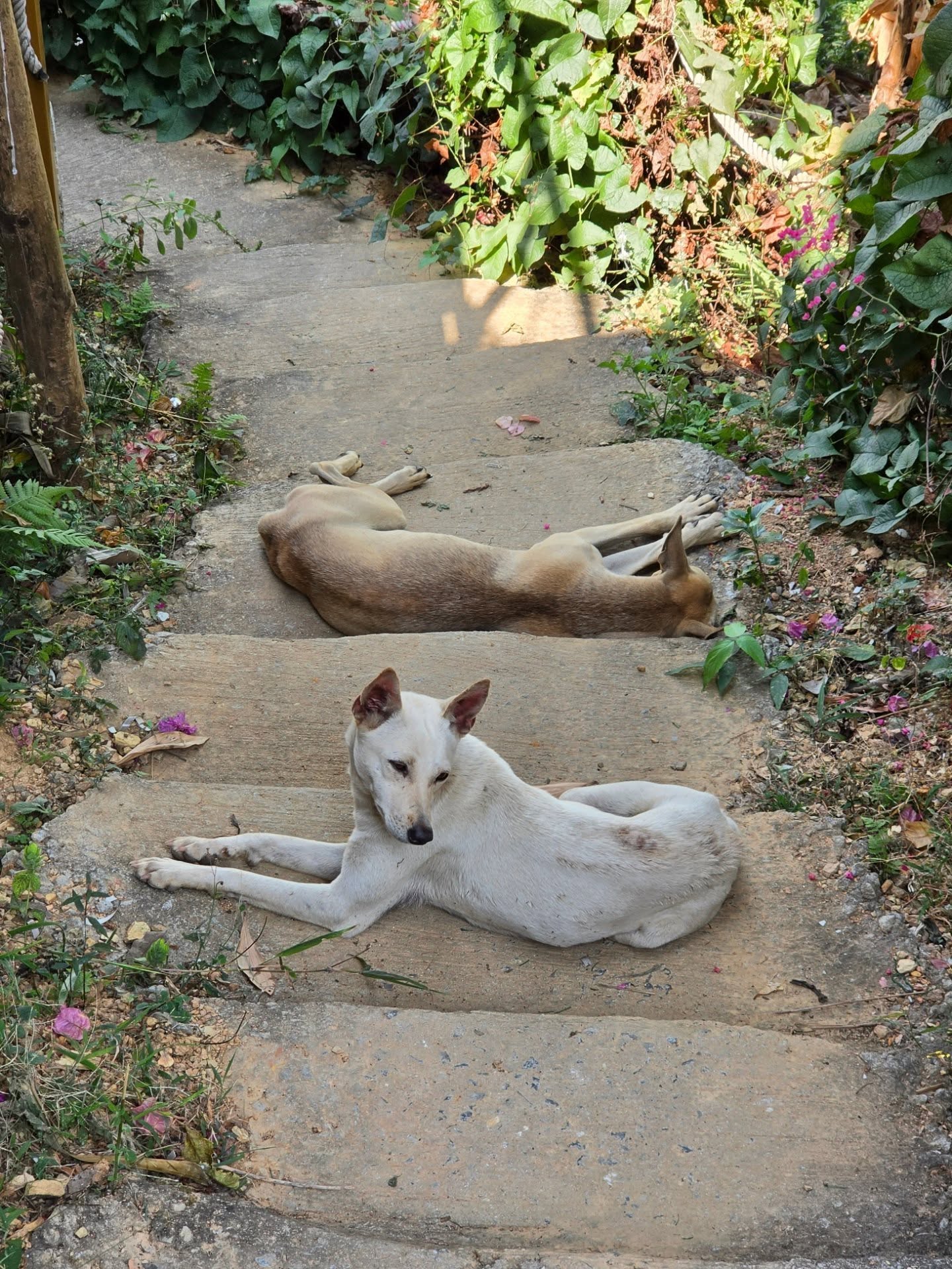 ไอซ์ - ศรัณยู วินัยพานิช