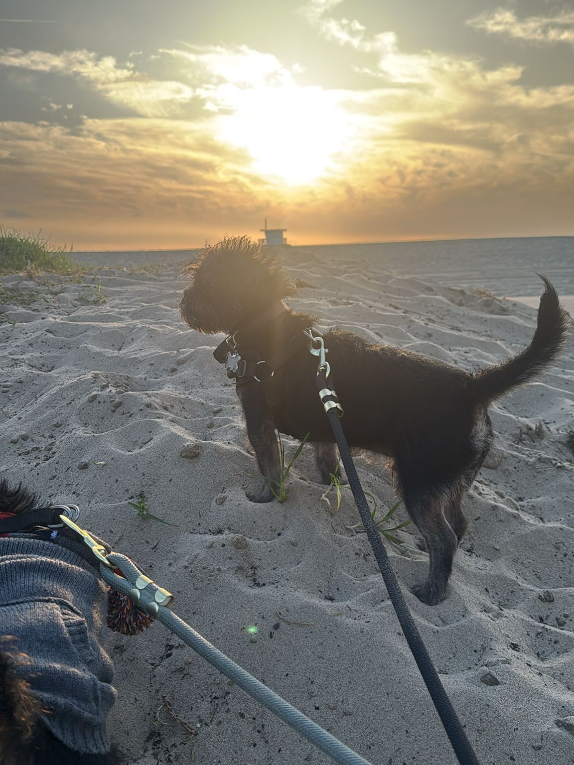 ปู - ไปรยา ลุนด์เบิร์ก