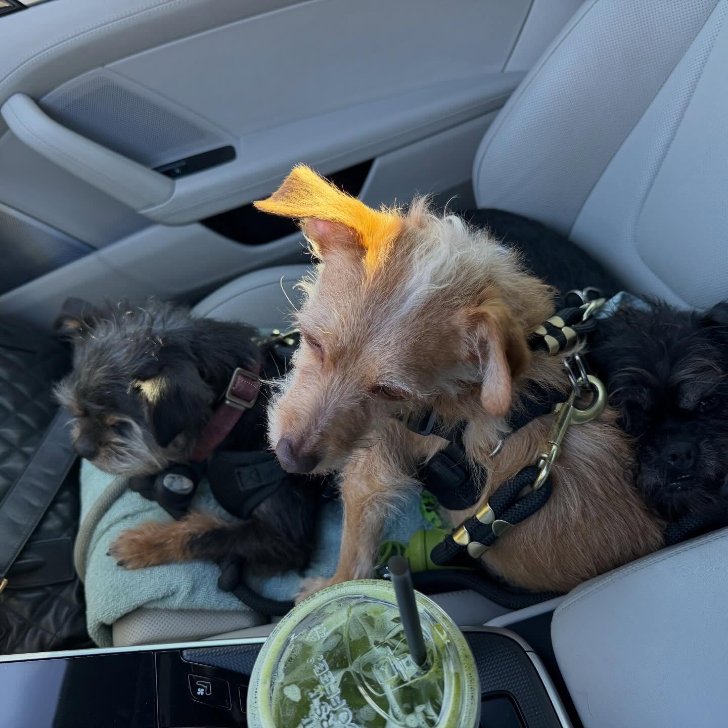 ปู - ไปรยา ลุนด์เบิร์ก