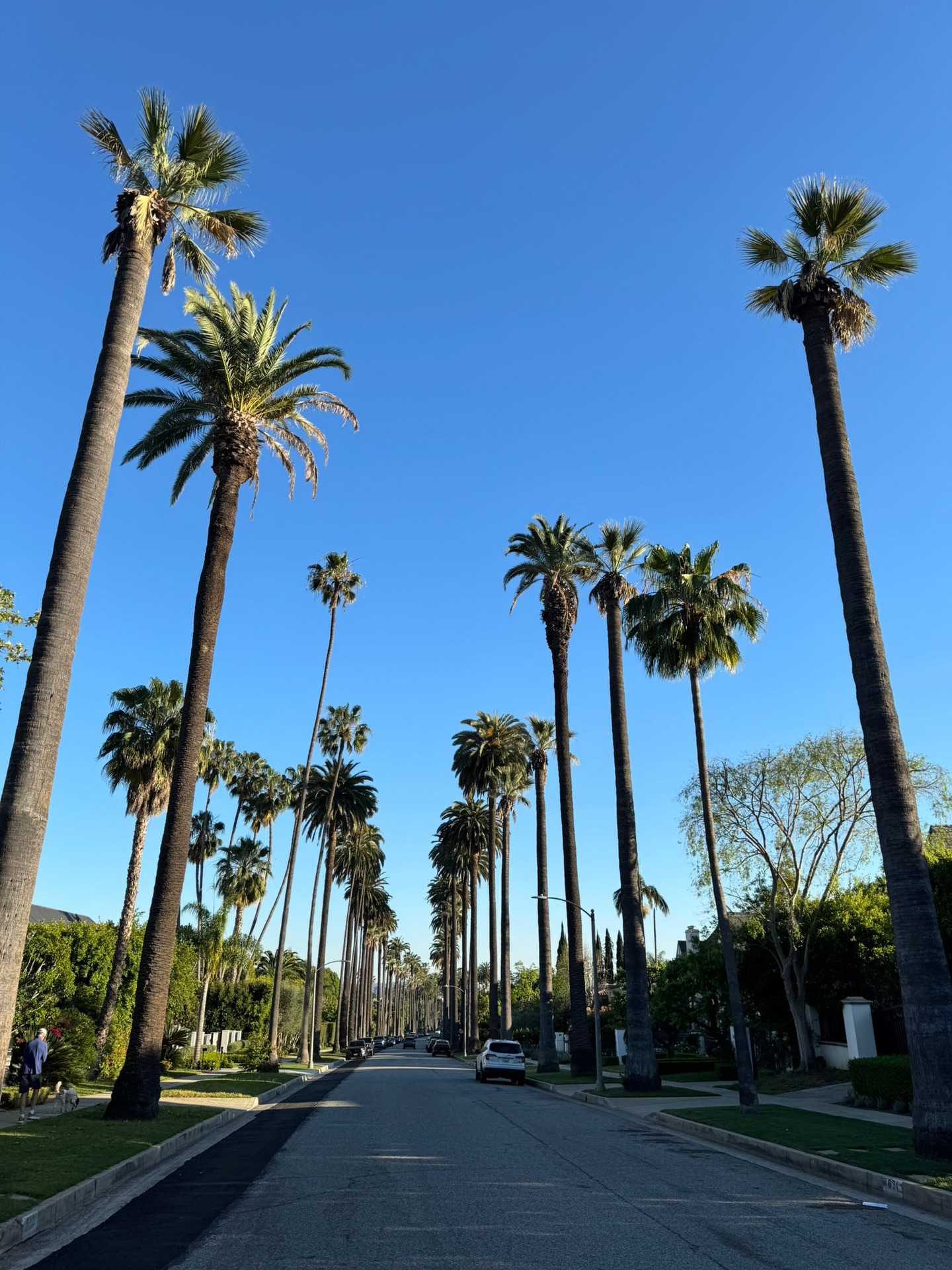 ปู - ไปรยา ลุนด์เบิร์ก