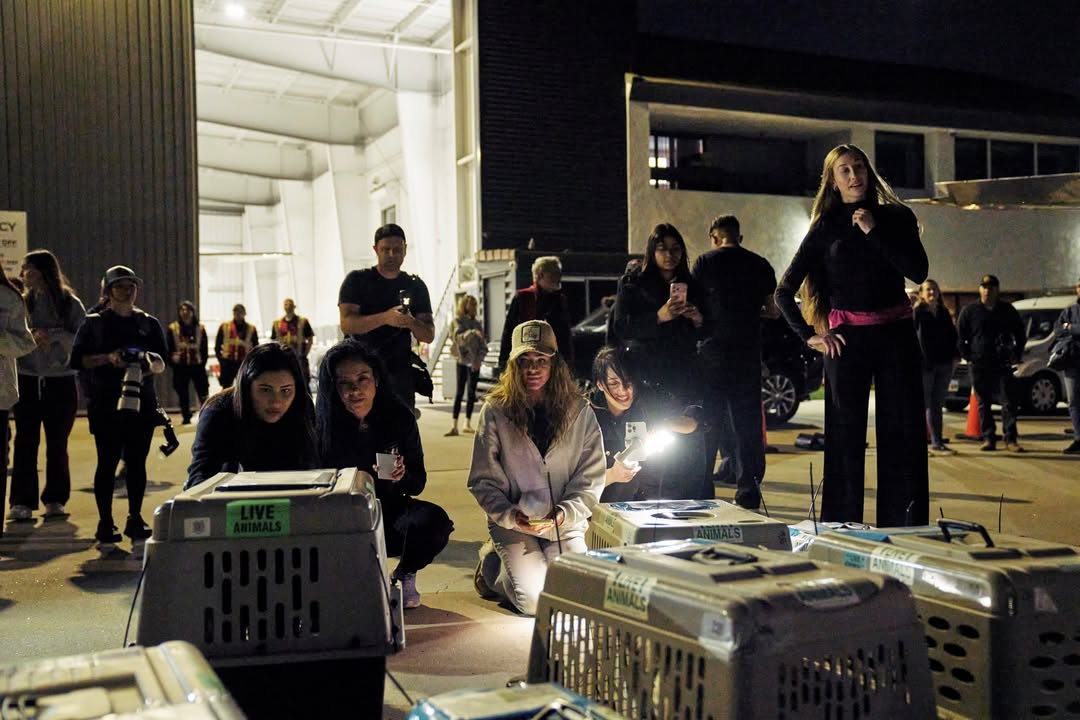 ปู - ไปรยา ลุนด์เบิร์ก