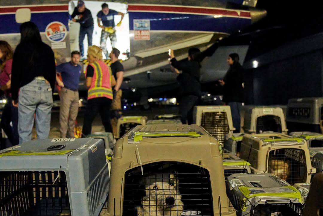 ปู - ไปรยา ลุนด์เบิร์ก