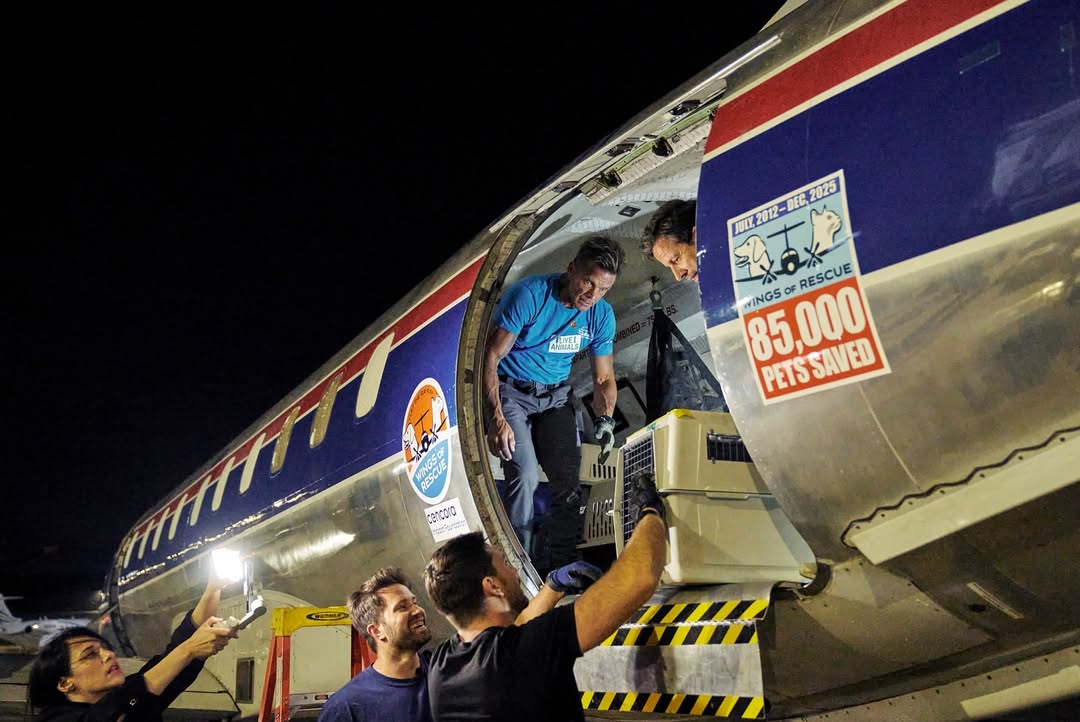 ปู - ไปรยา ลุนด์เบิร์ก