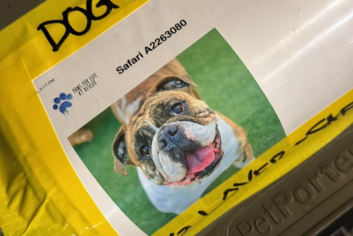 ปู - ไปรยา ลุนด์เบิร์ก