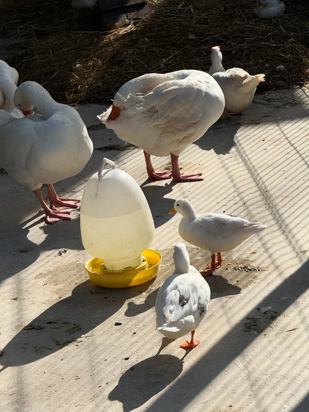 มิกซ์ - สหภาพ วงศ์ราษฎร์