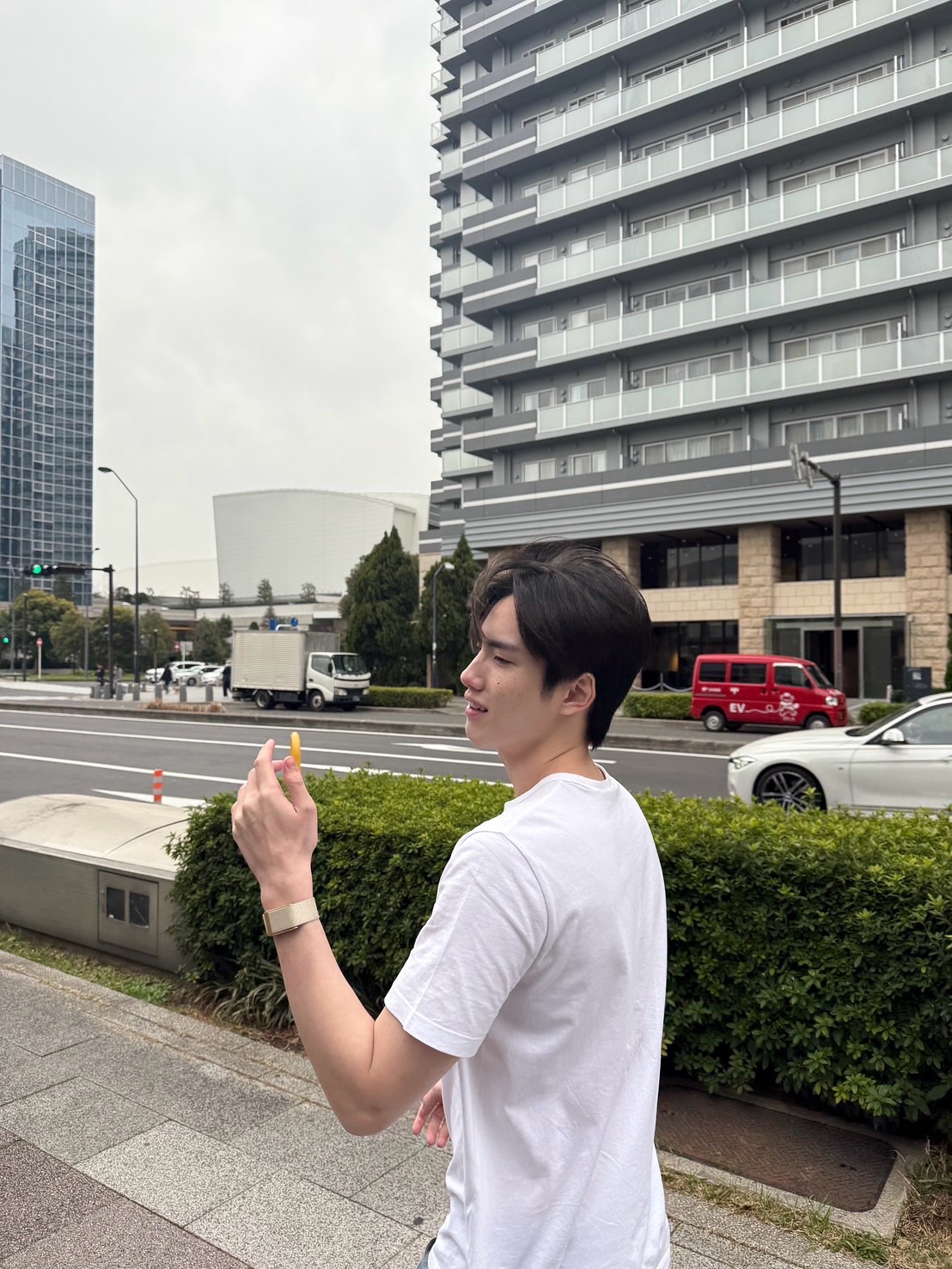 ภู - ธัชชัย ลิ้มปัญญากุล