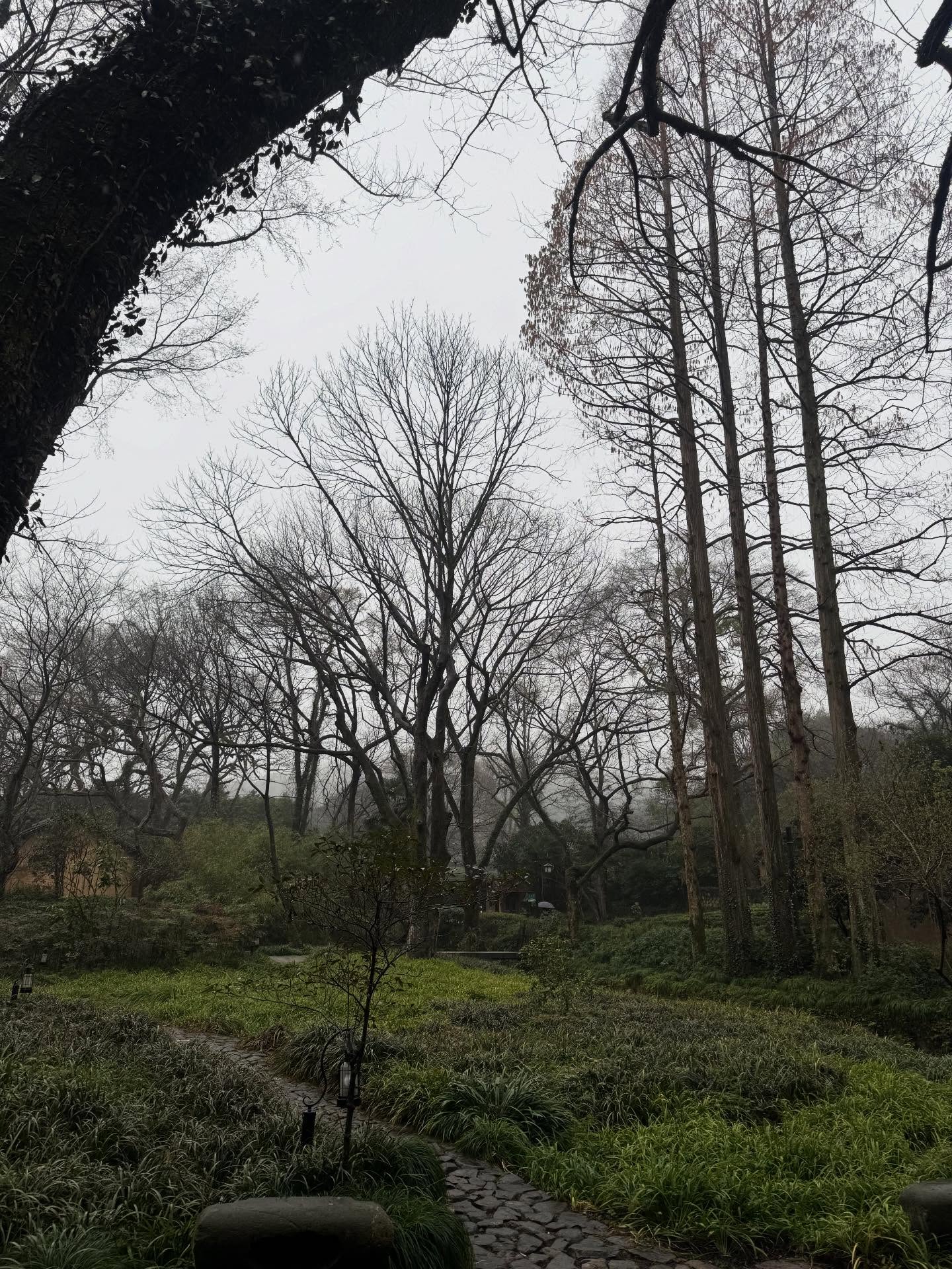 สตางค์ - กิตติภพ เสรีวิชยสวัสดิ์