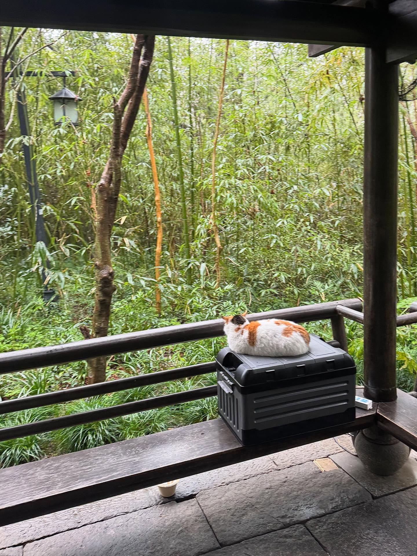 สตางค์ - กิตติภพ เสรีวิชยสวัสดิ์