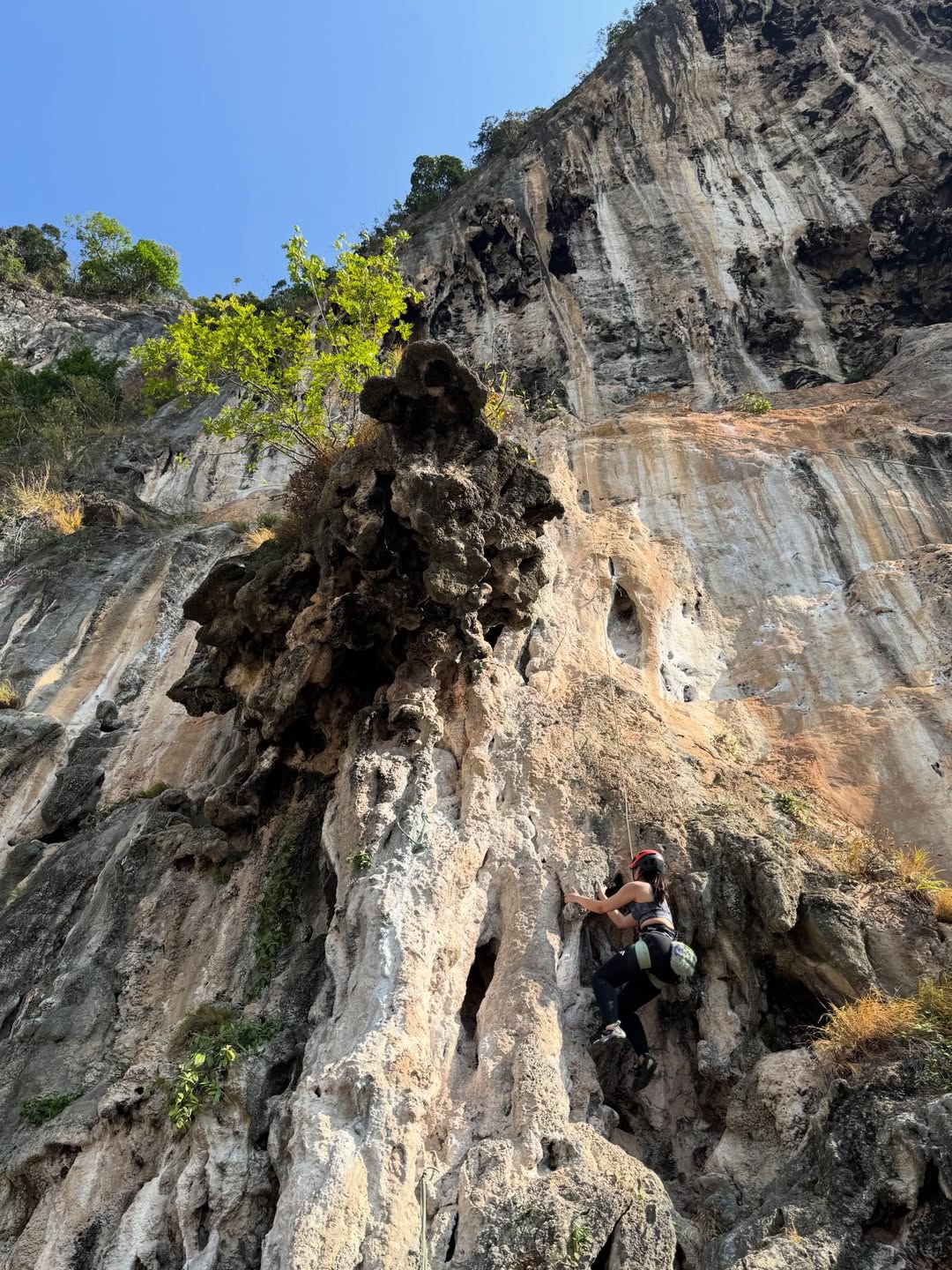 สตางค์ - กิตติภพ เสรีวิชยสวัสดิ์