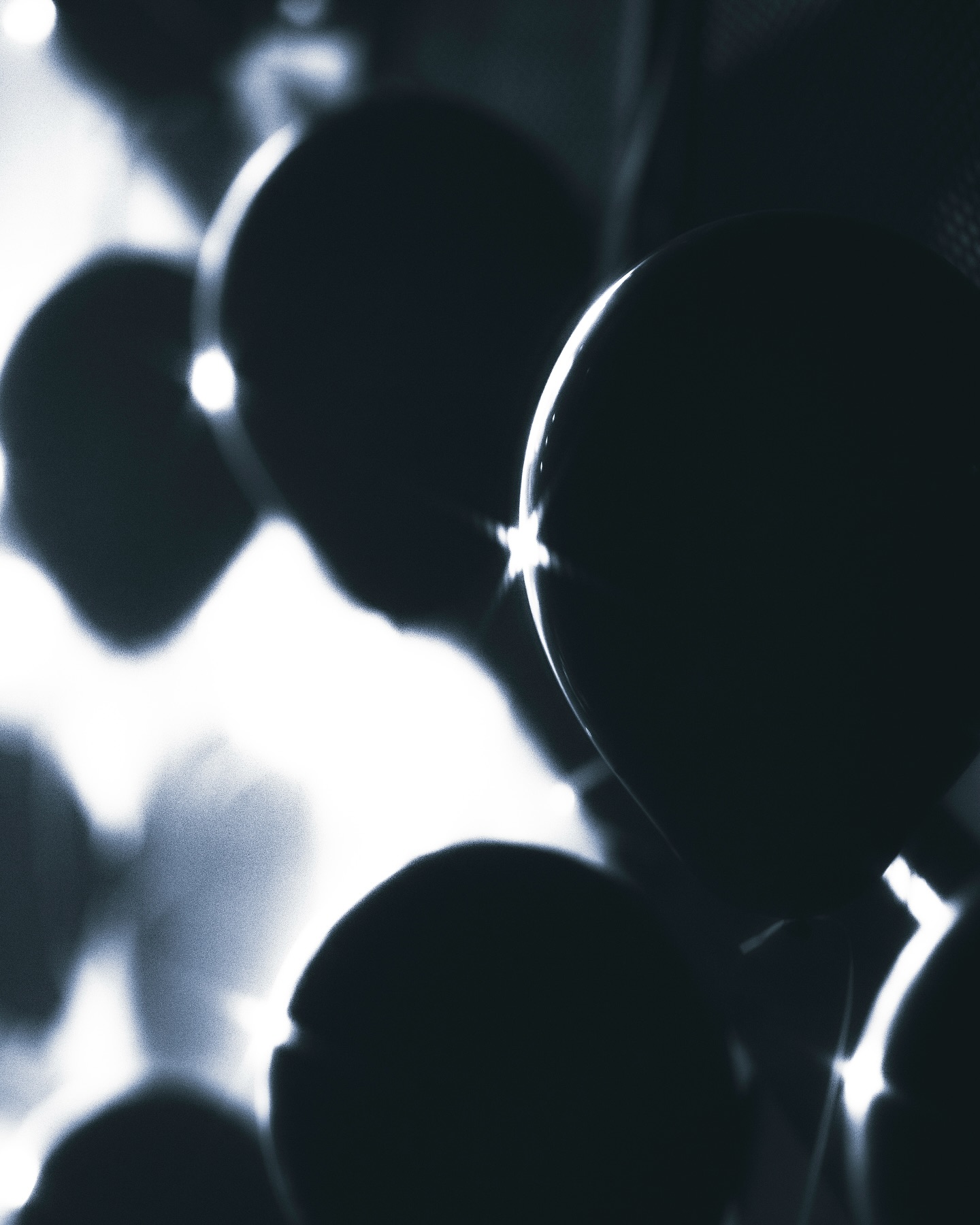 เจ้าขุน - จักรภัทร วรรธนะสิน