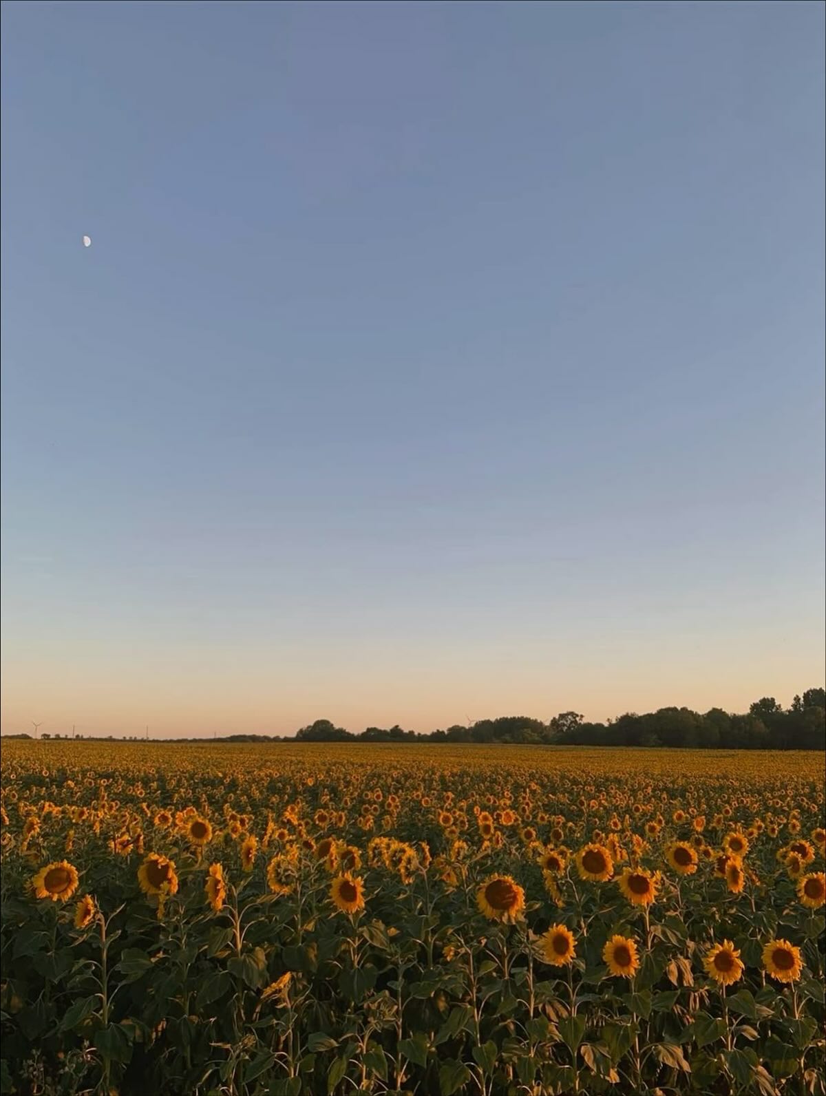 เจ้าขุน - จักรภัทร วรรธนะสิน