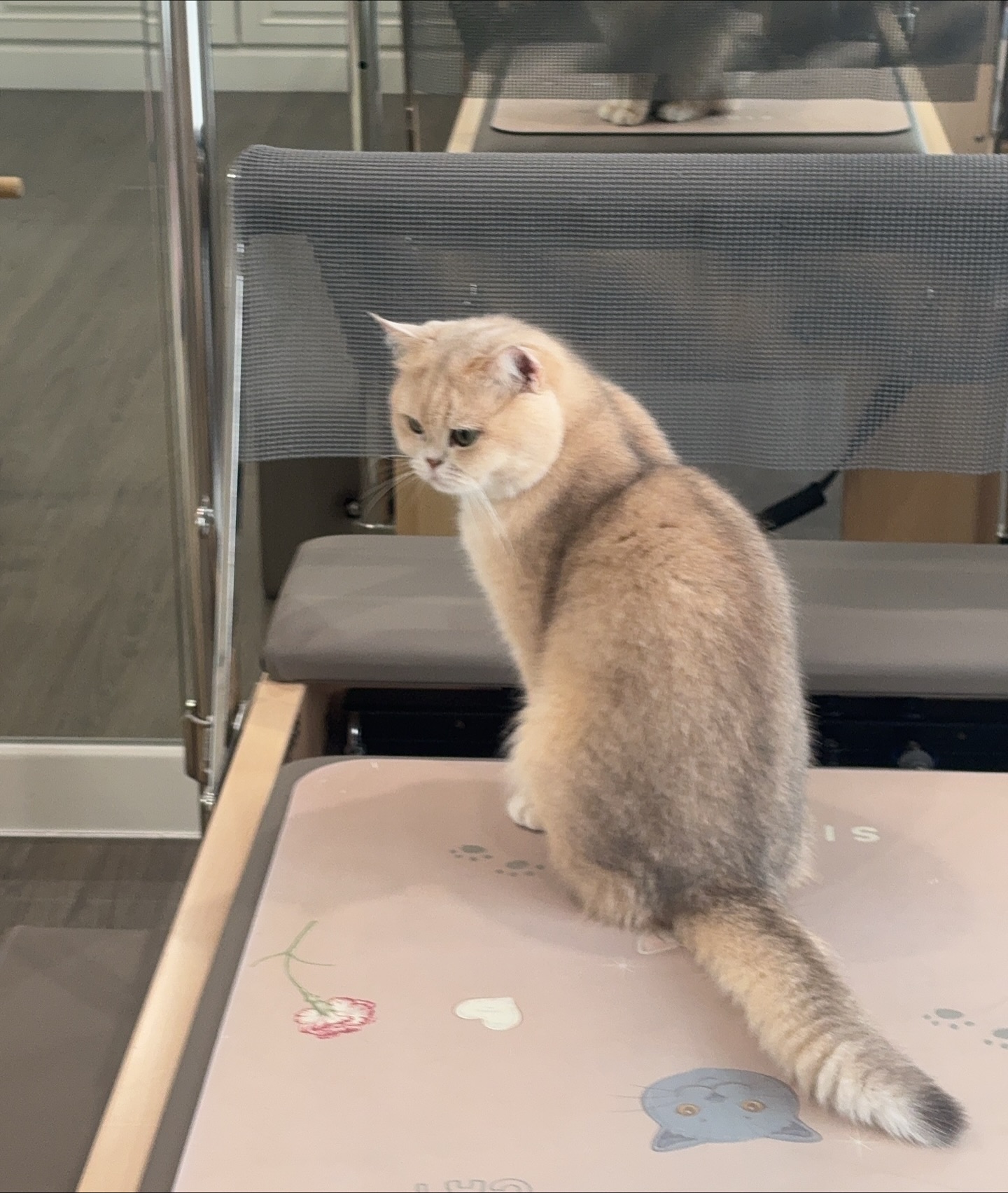 บอนนี่ - ภัทราภัสร์ โบรัชตะสุวรรณ์