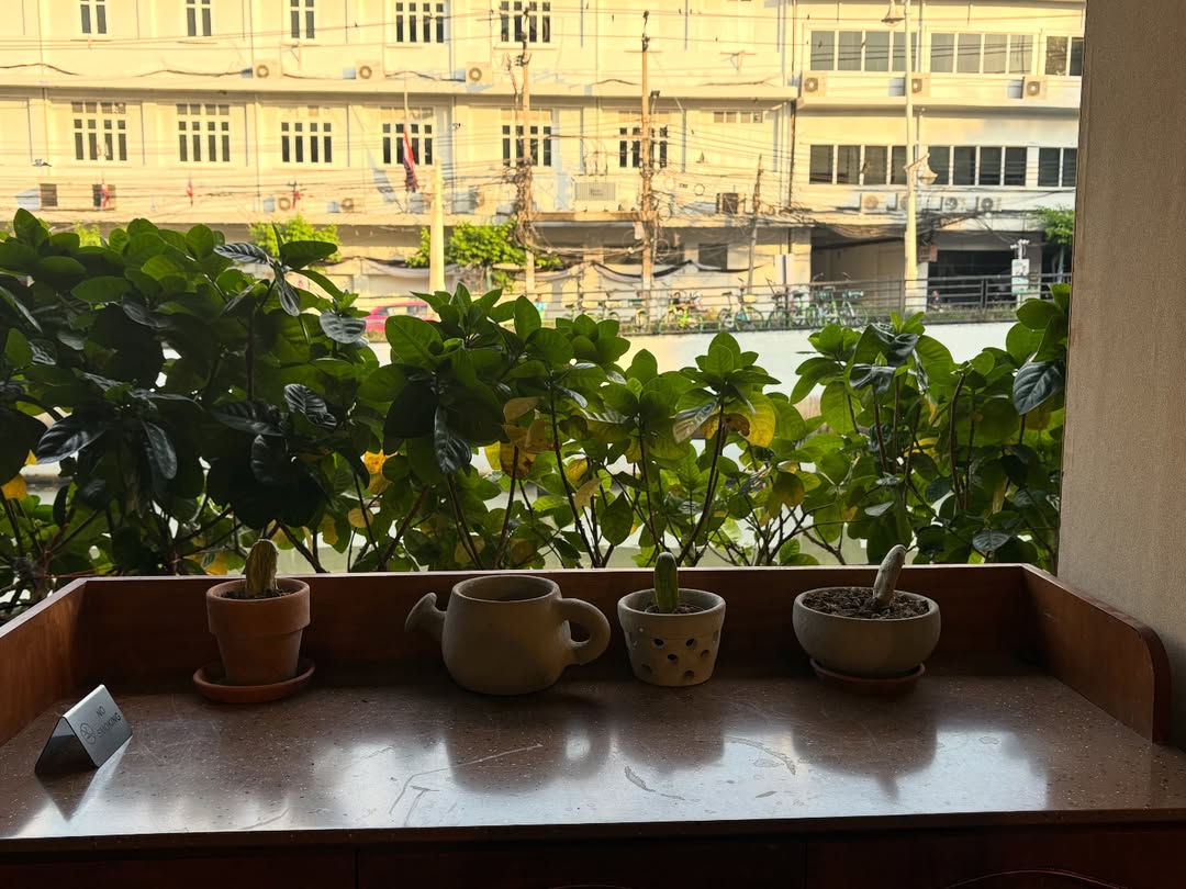 บอนนี่ - ภัทราภัสร์ โบรัชตะสุวรรณ์