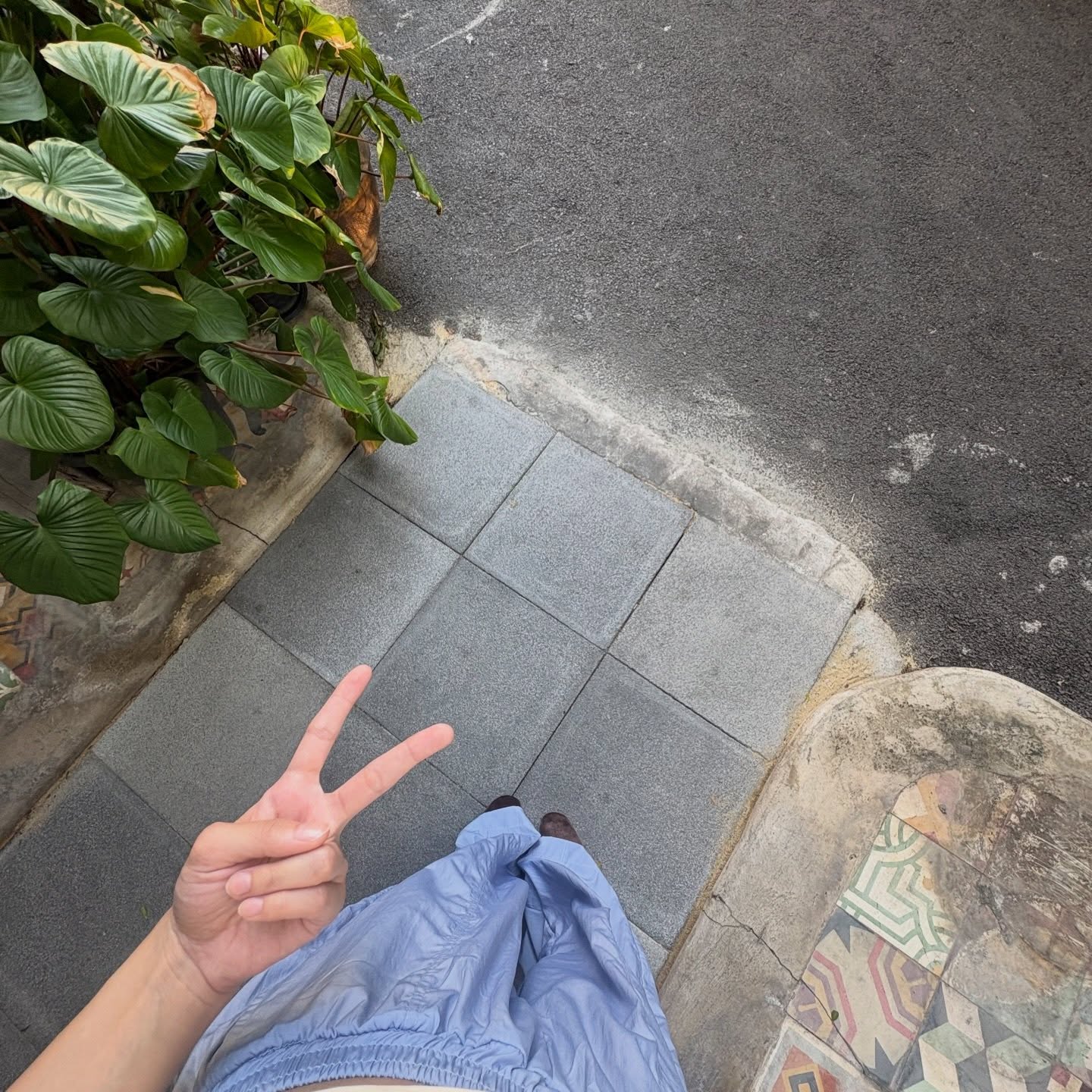 บอนนี่ - ภัทราภัสร์ โบรัชตะสุวรรณ์