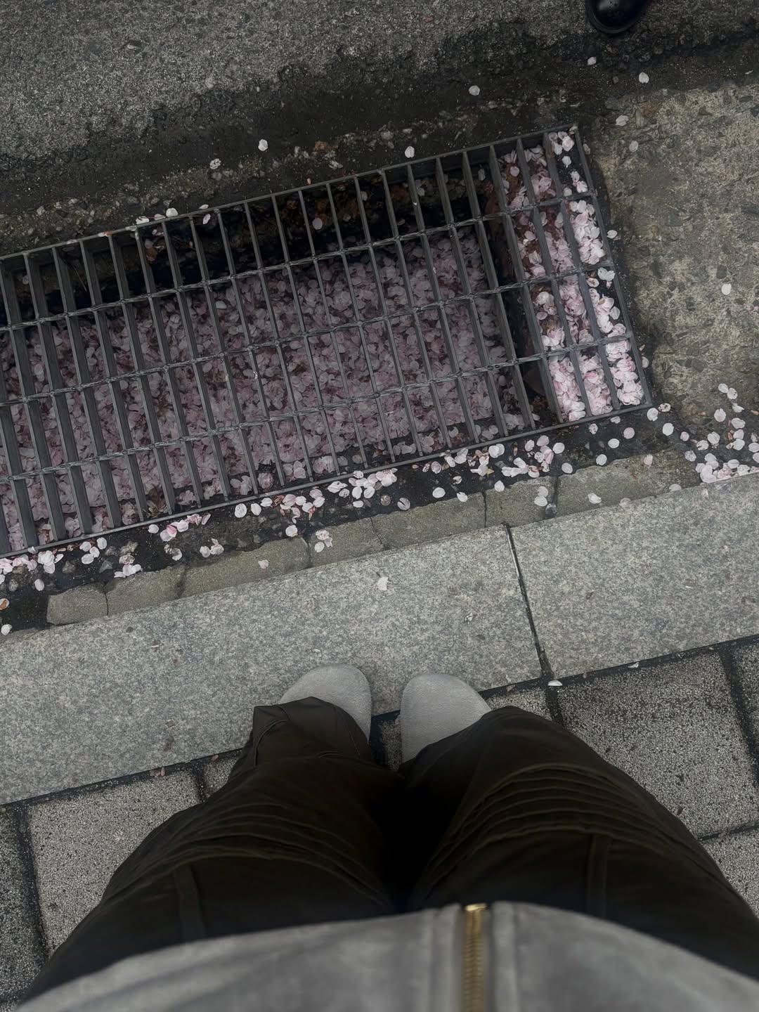 บอนนี่ - ภัทราภัสร์ โบรัชตะสุวรรณ์