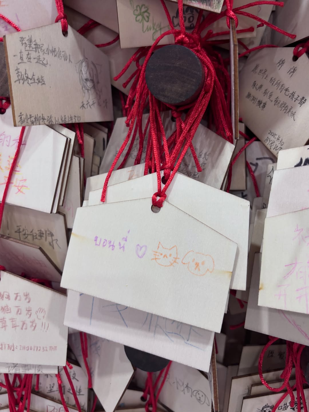 บอนนี่ - ภัทราภัสร์ โบรัชตะสุวรรณ์