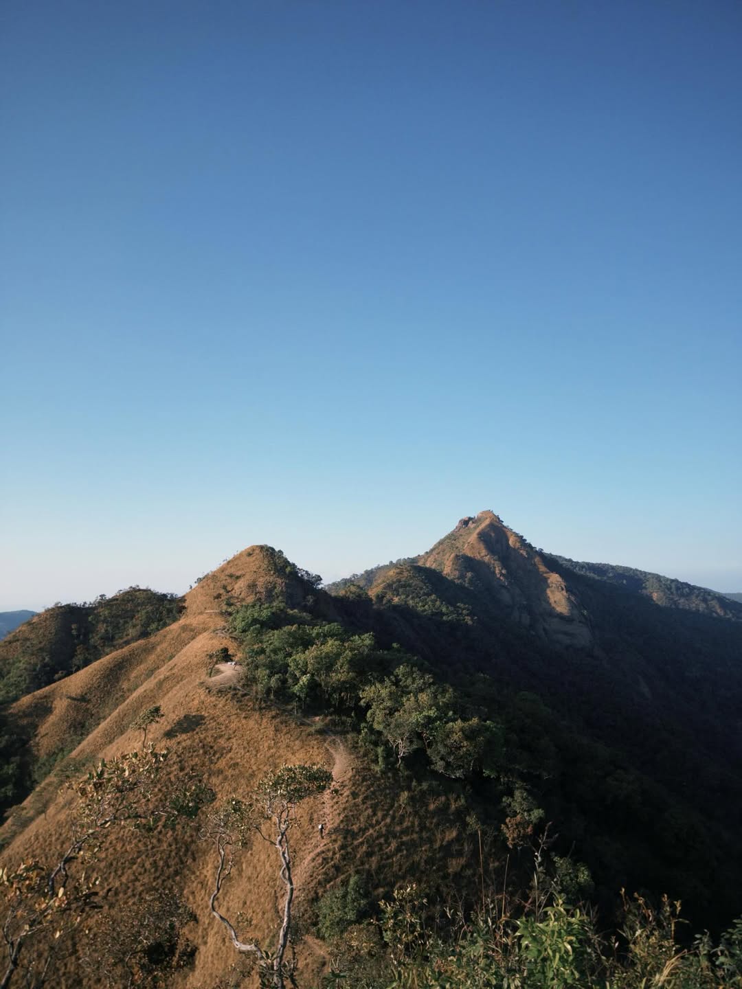 เบ้นซ์ - อัทธ์ธนิน ธนินภาณุวิวัฒน์