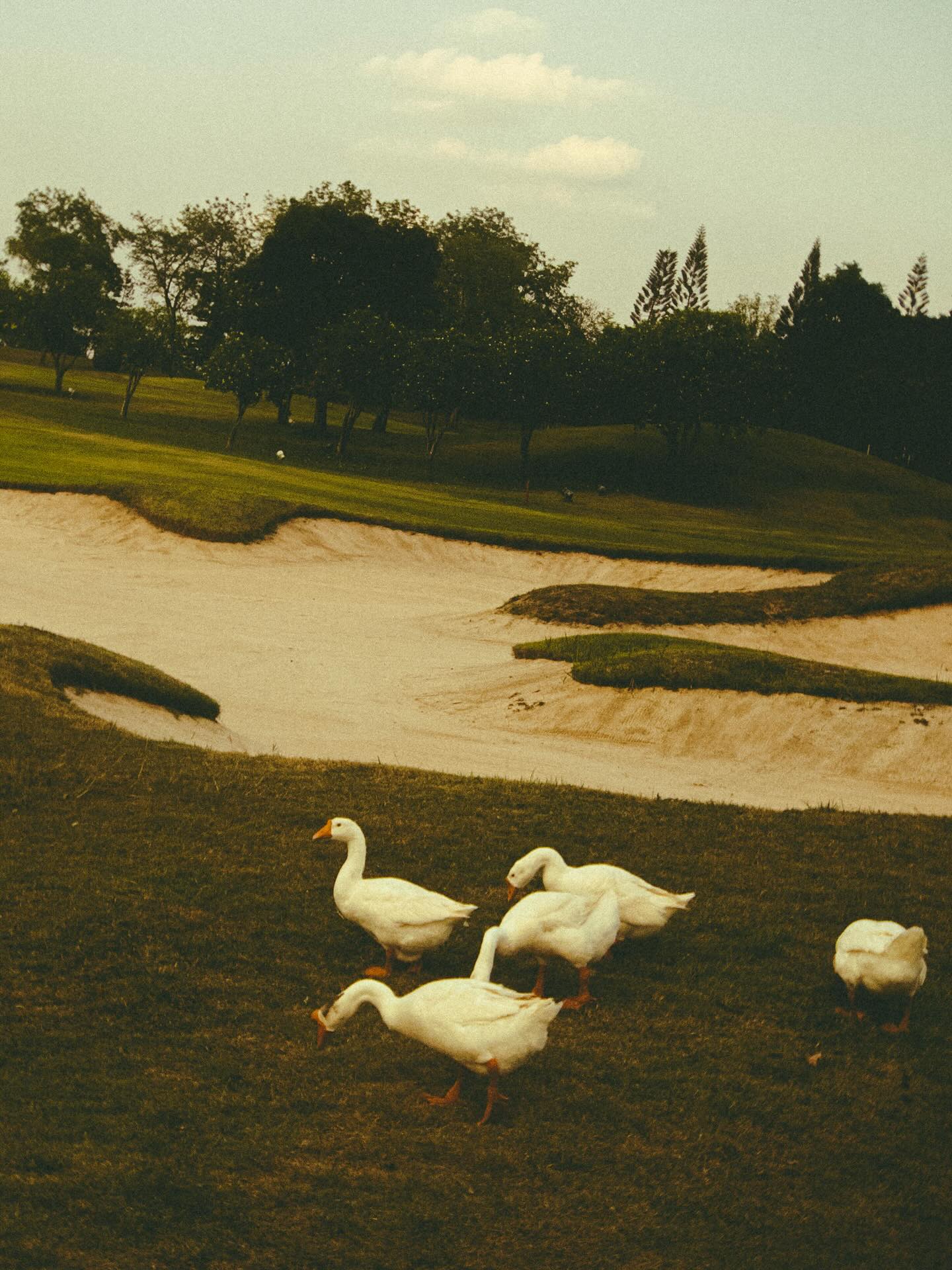 เบ้นซ์ - อัทธ์ธนิน ธนินภาณุวิวัฒน์