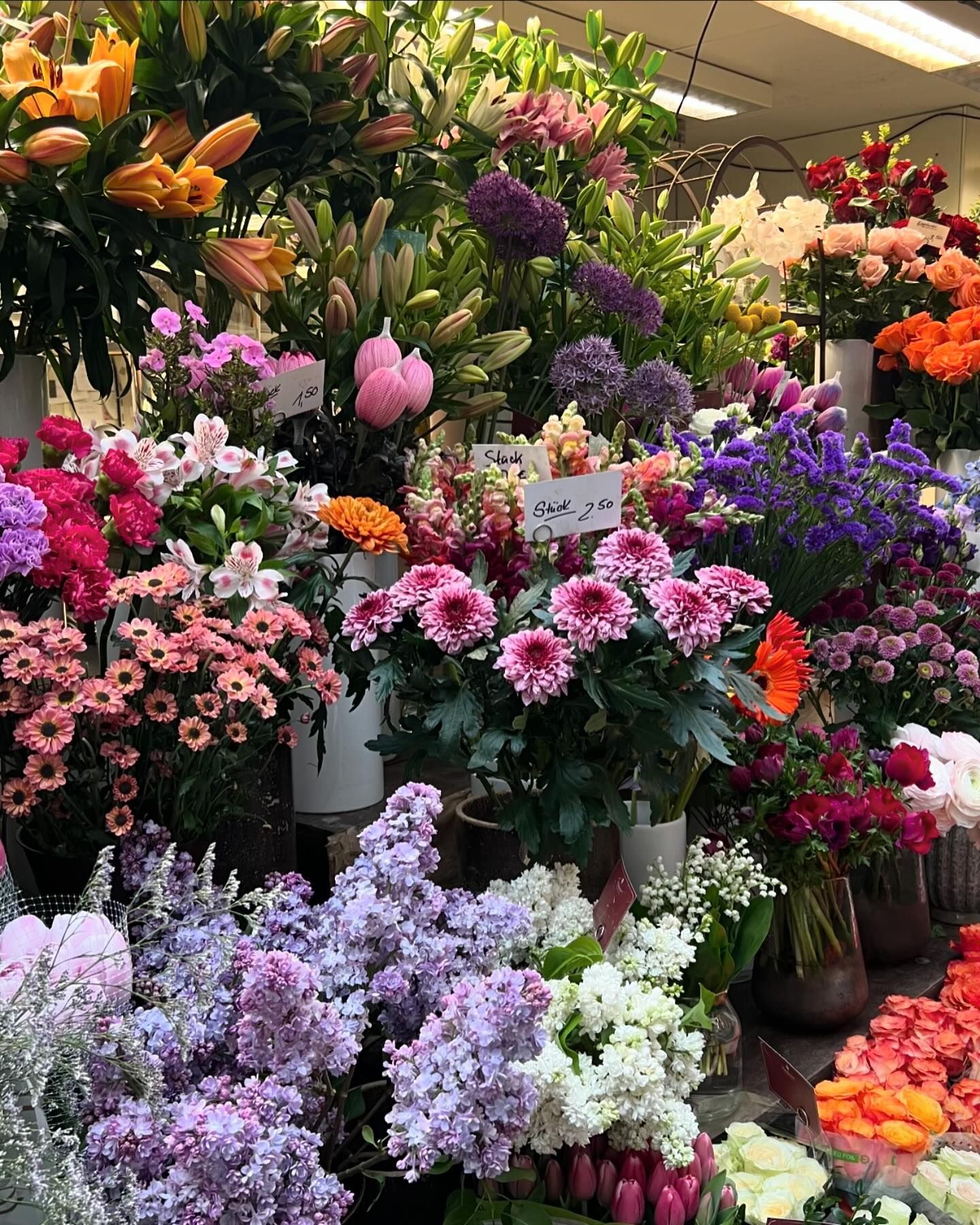 จิ๊บ - ปกฉัตร เทียมชัย