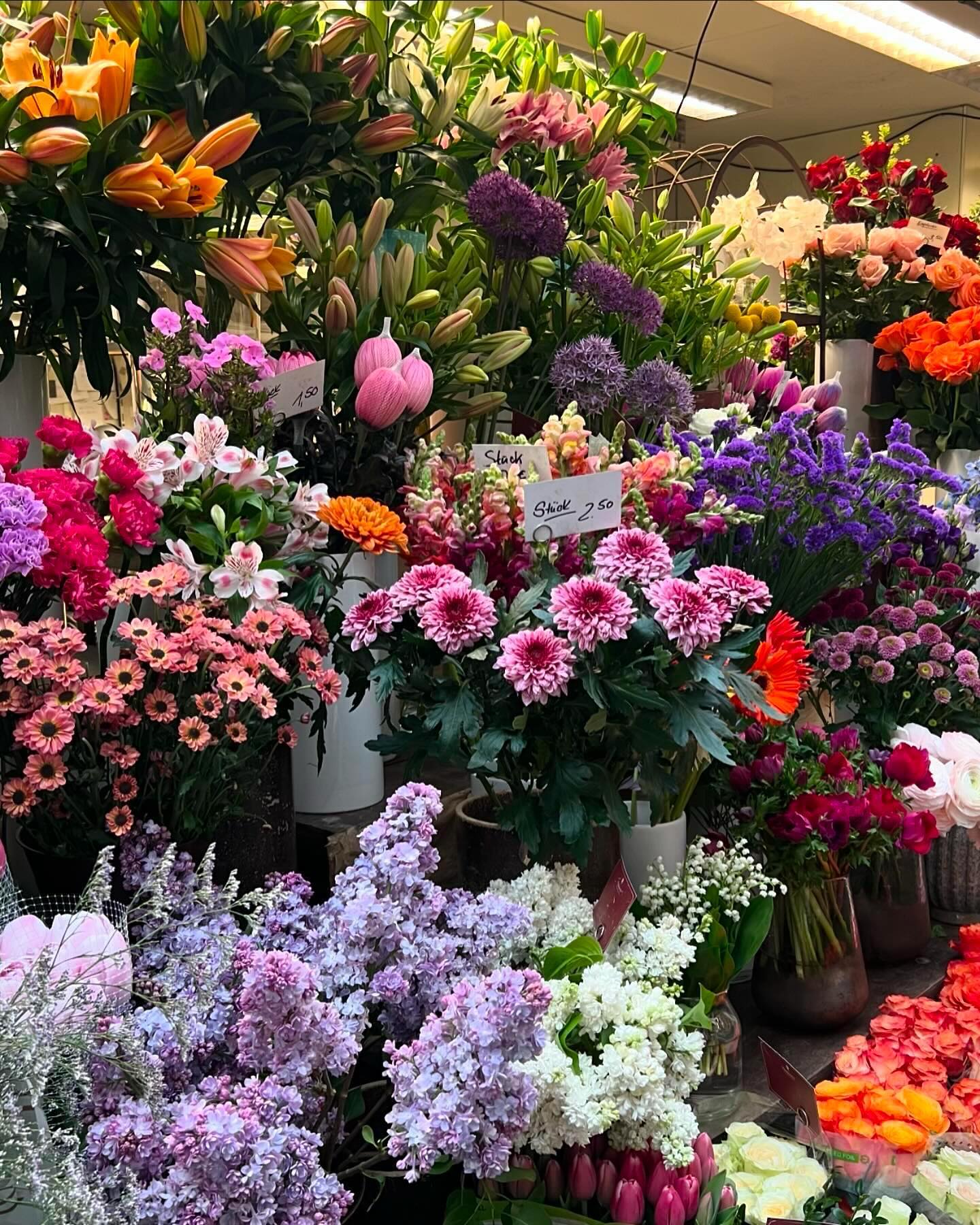 จิ๊บ - ปกฉัตร เทียมชัย