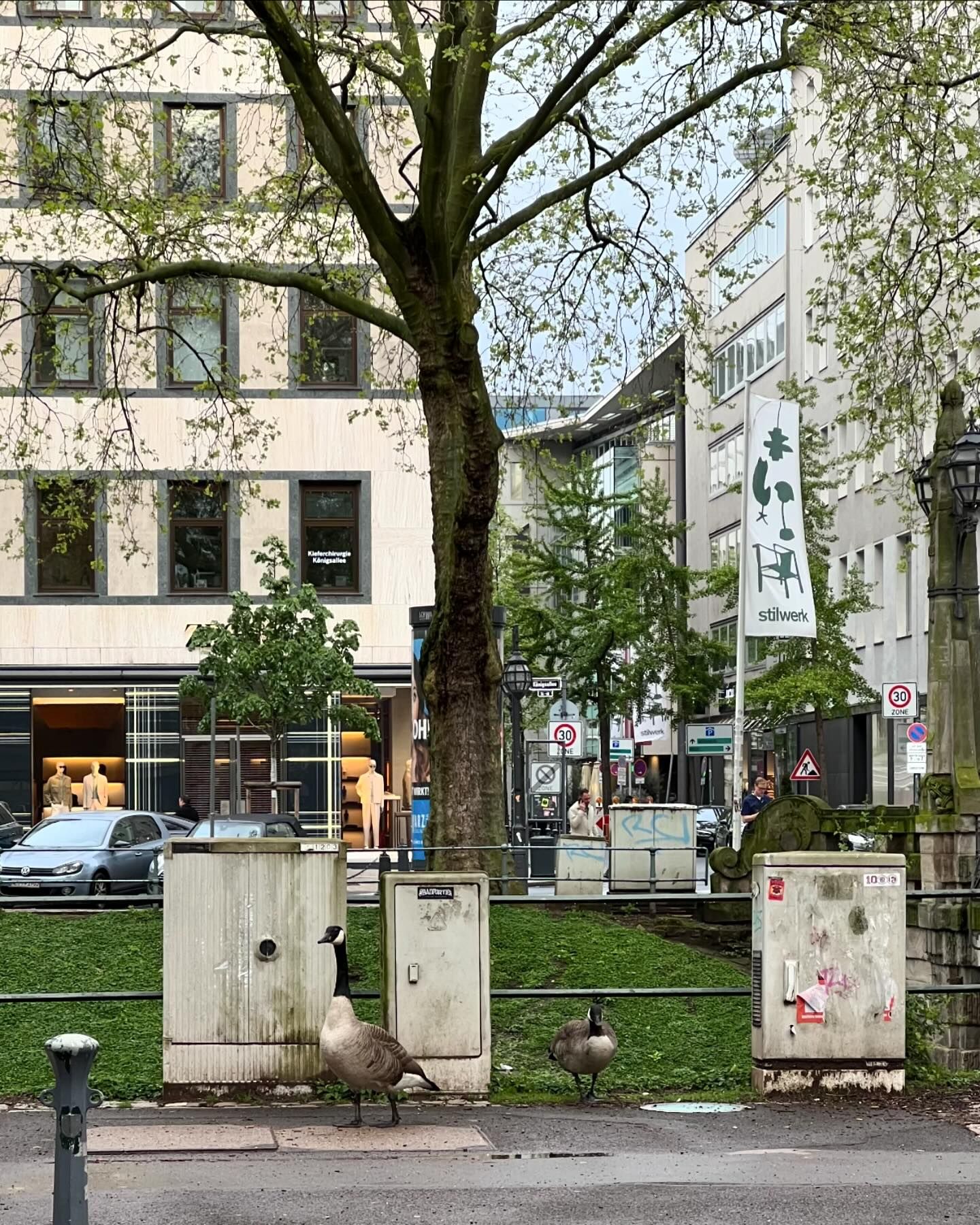 จิ๊บ - ปกฉัตร เทียมชัย