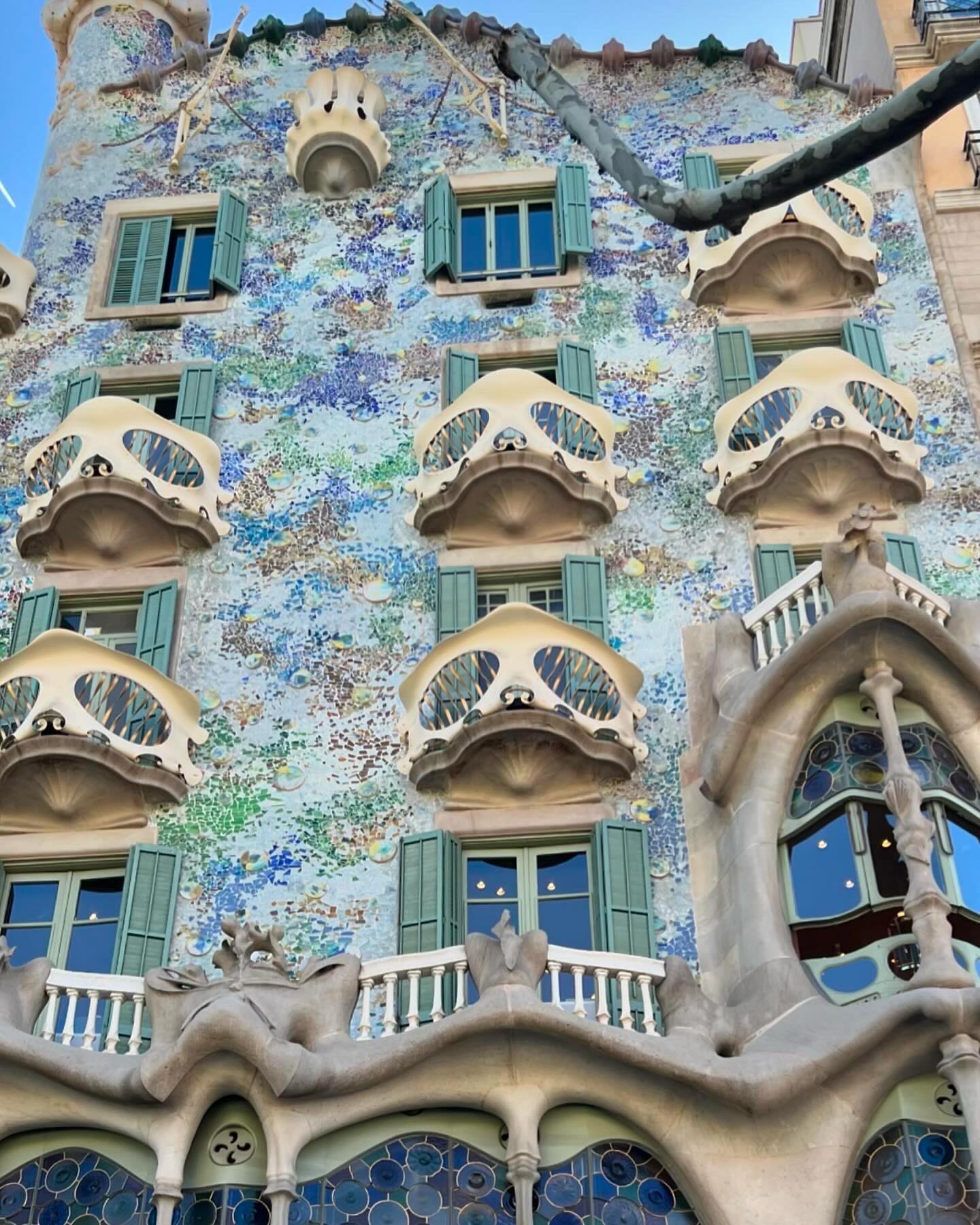 จิ๊บ - ปกฉัตร เทียมชัย