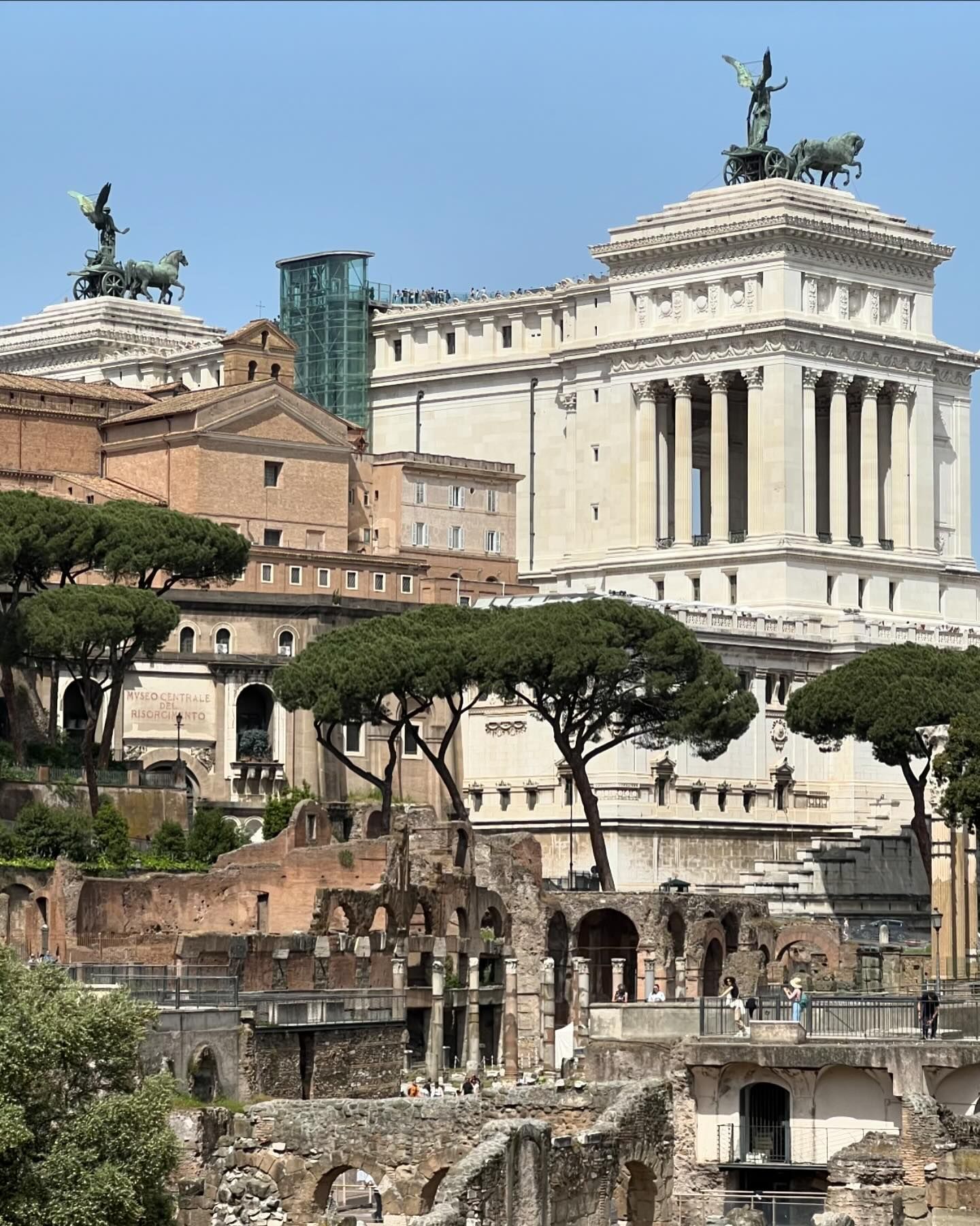 จิ๊บ - ปกฉัตร เทียมชัย