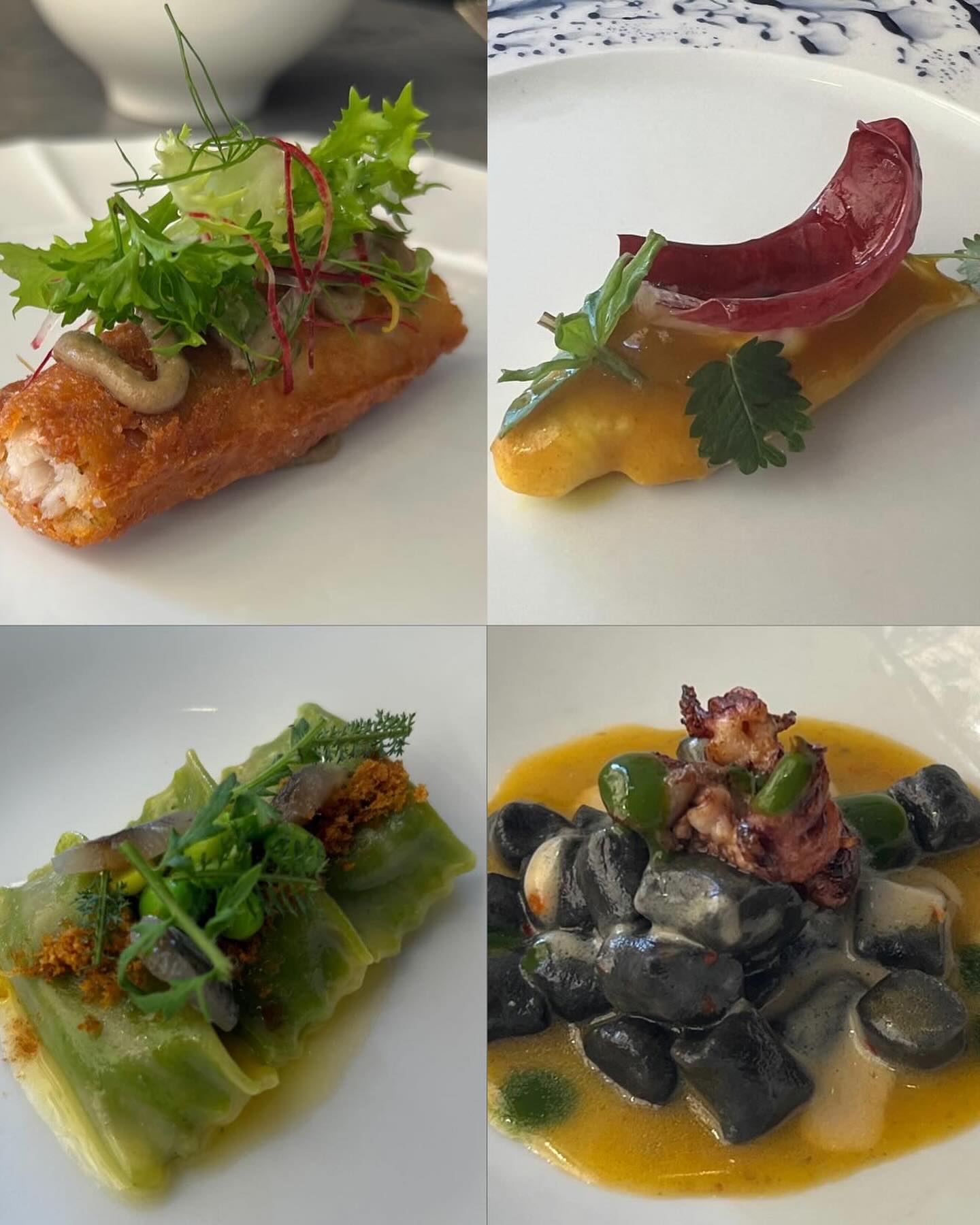 จิ๊บ - ปกฉัตร เทียมชัย