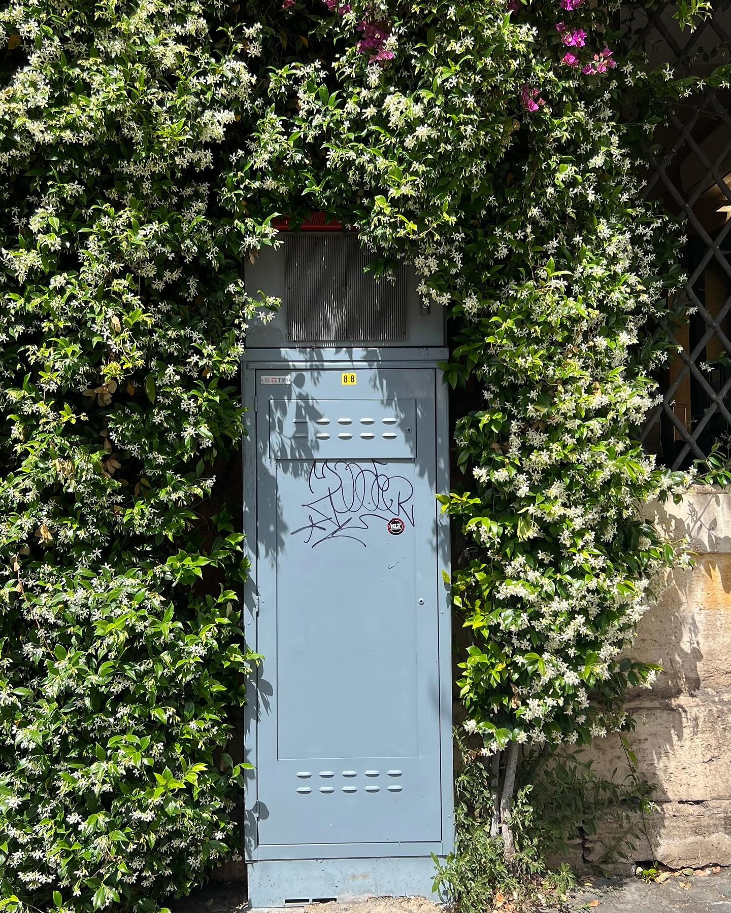 จิ๊บ - ปกฉัตร เทียมชัย