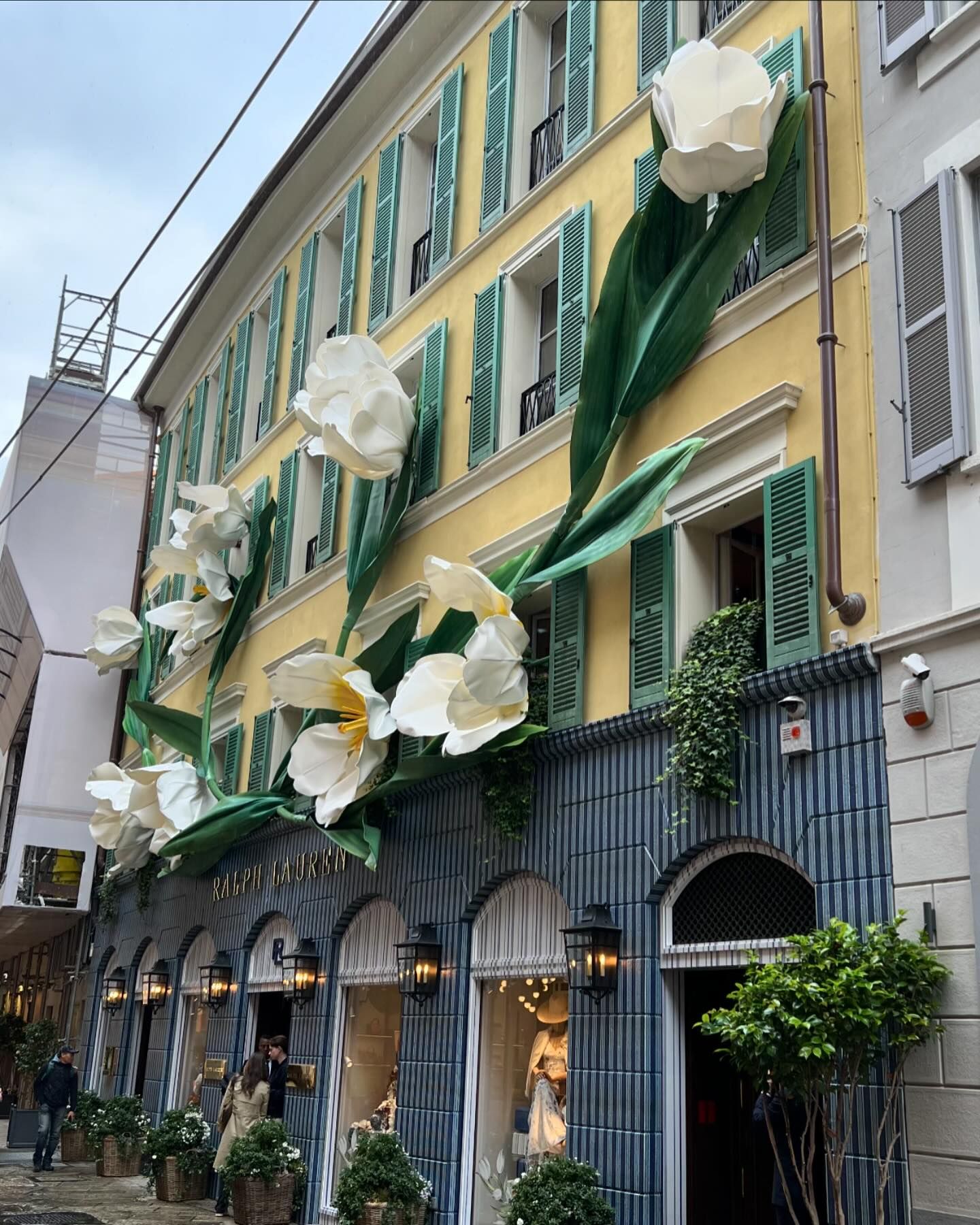 จิ๊บ - ปกฉัตร เทียมชัย