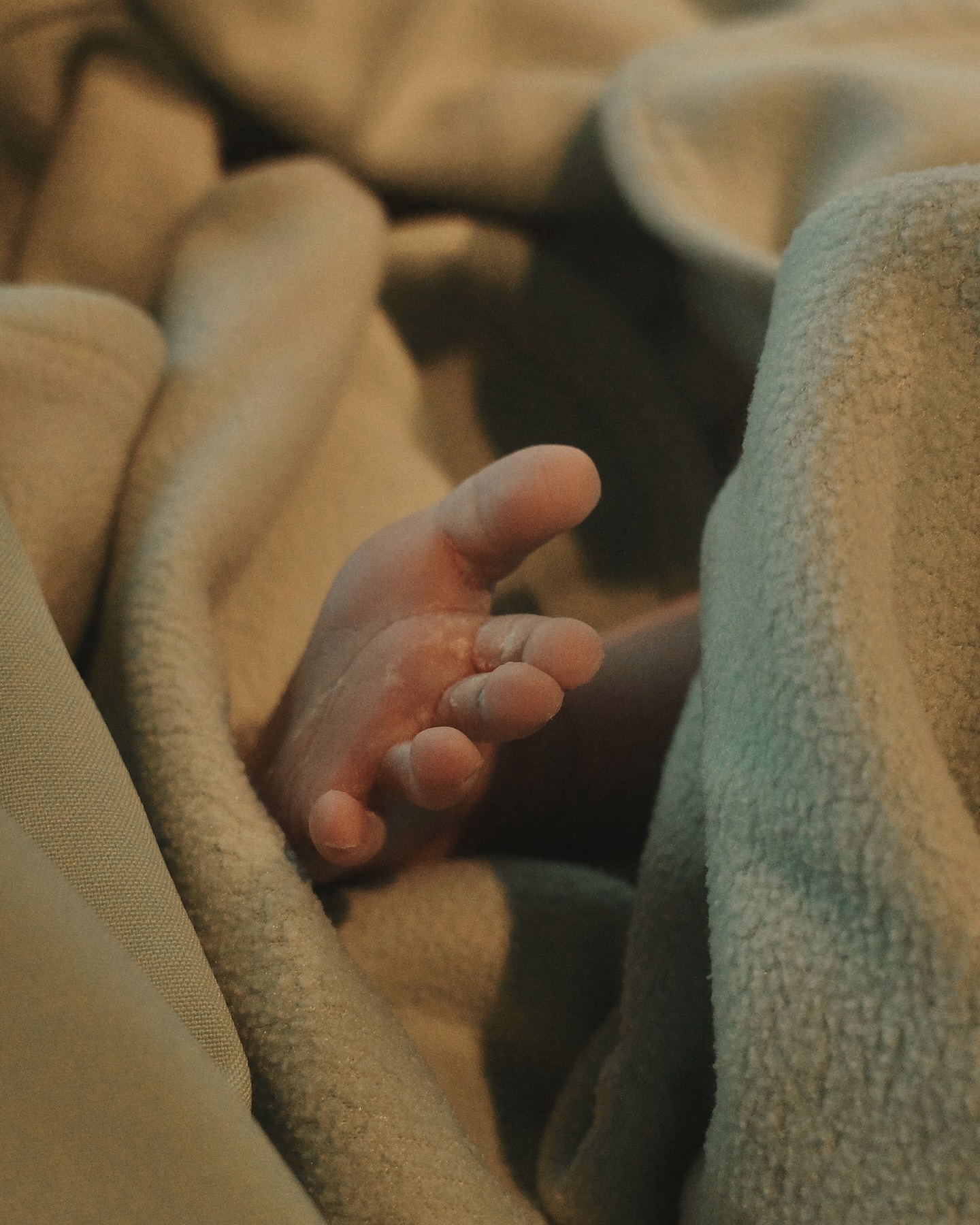 จิ๊บ - ปกฉัตร เทียมชัย