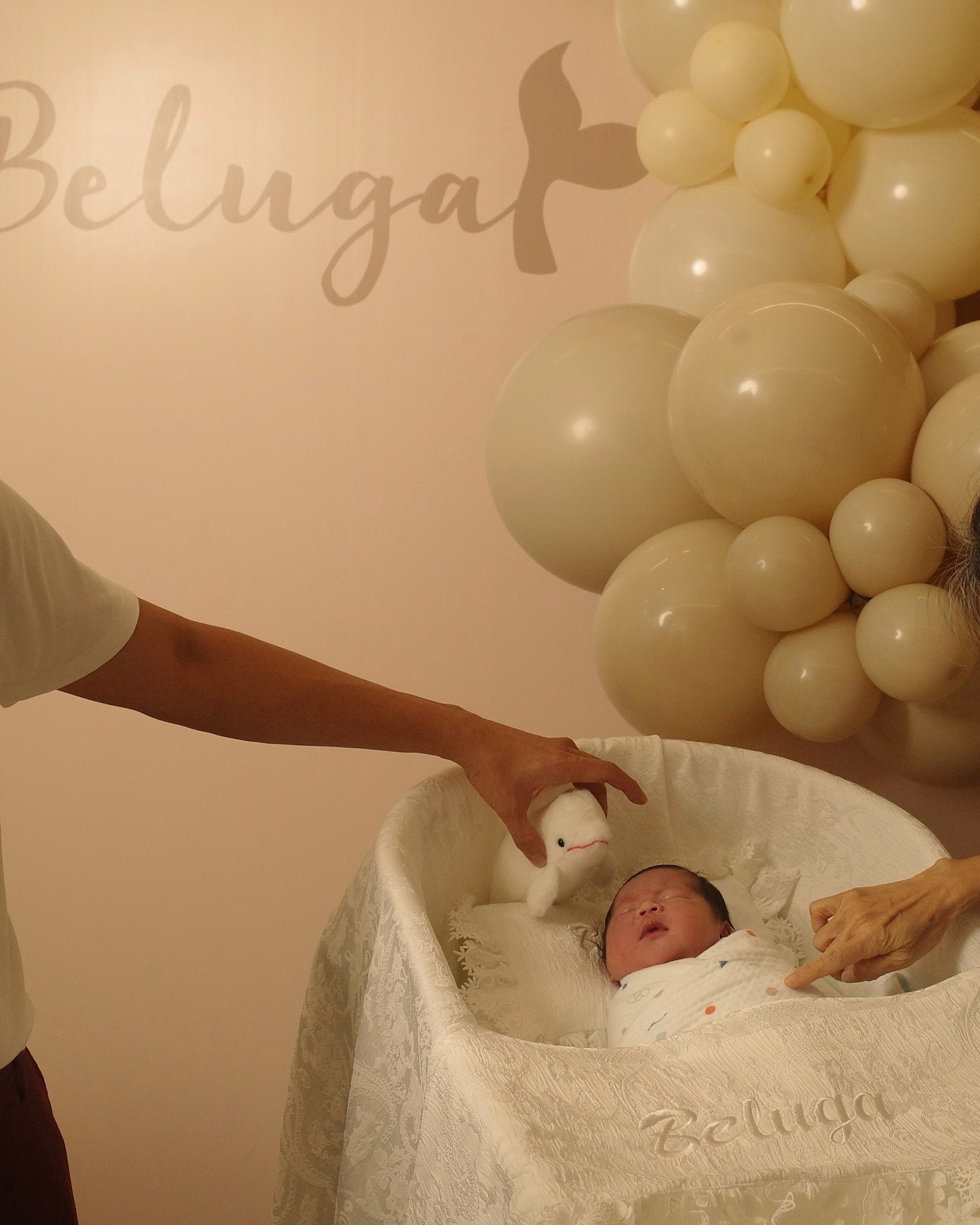 จิ๊บ - ปกฉัตร เทียมชัย