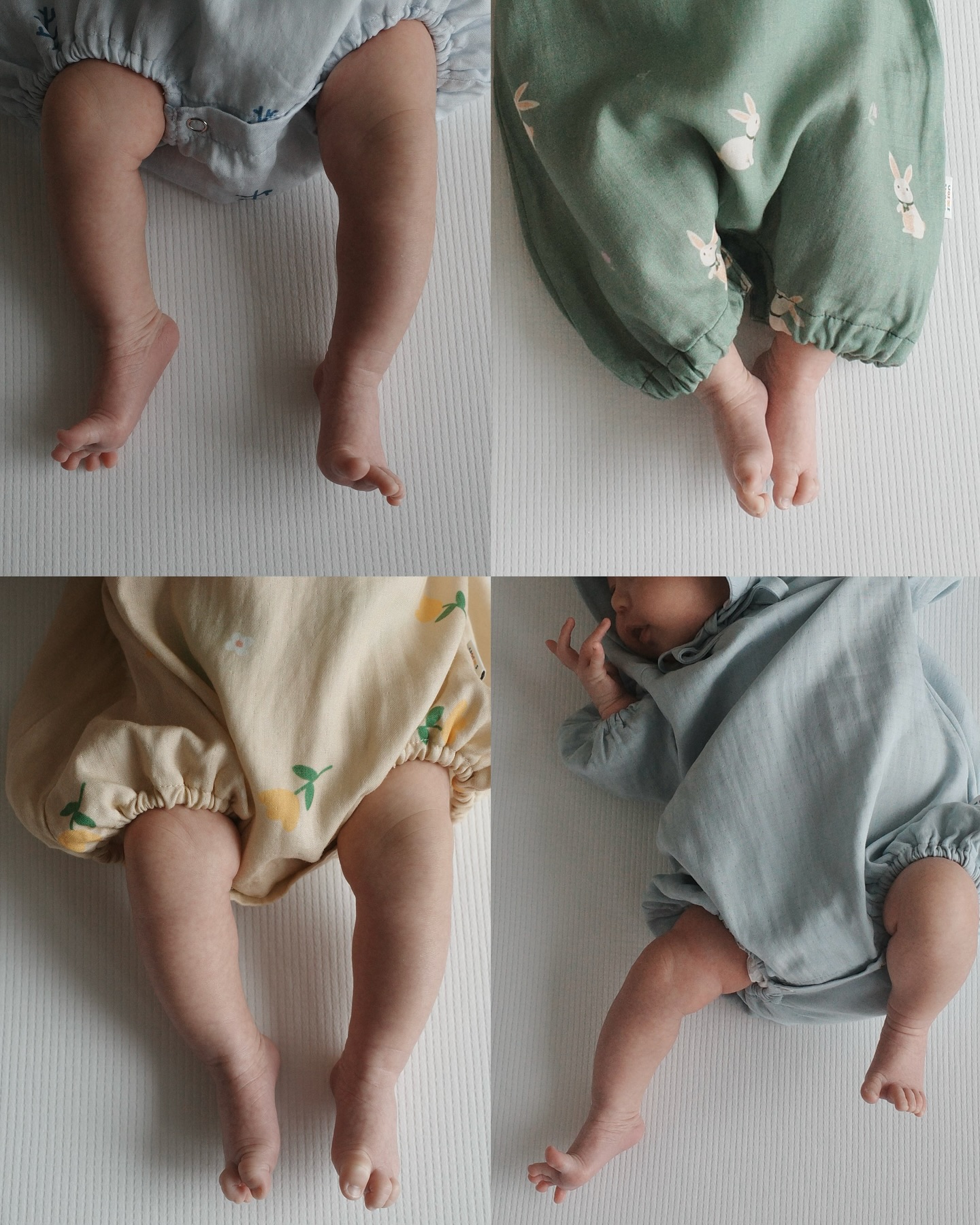 จิ๊บ - ปกฉัตร เทียมชัย