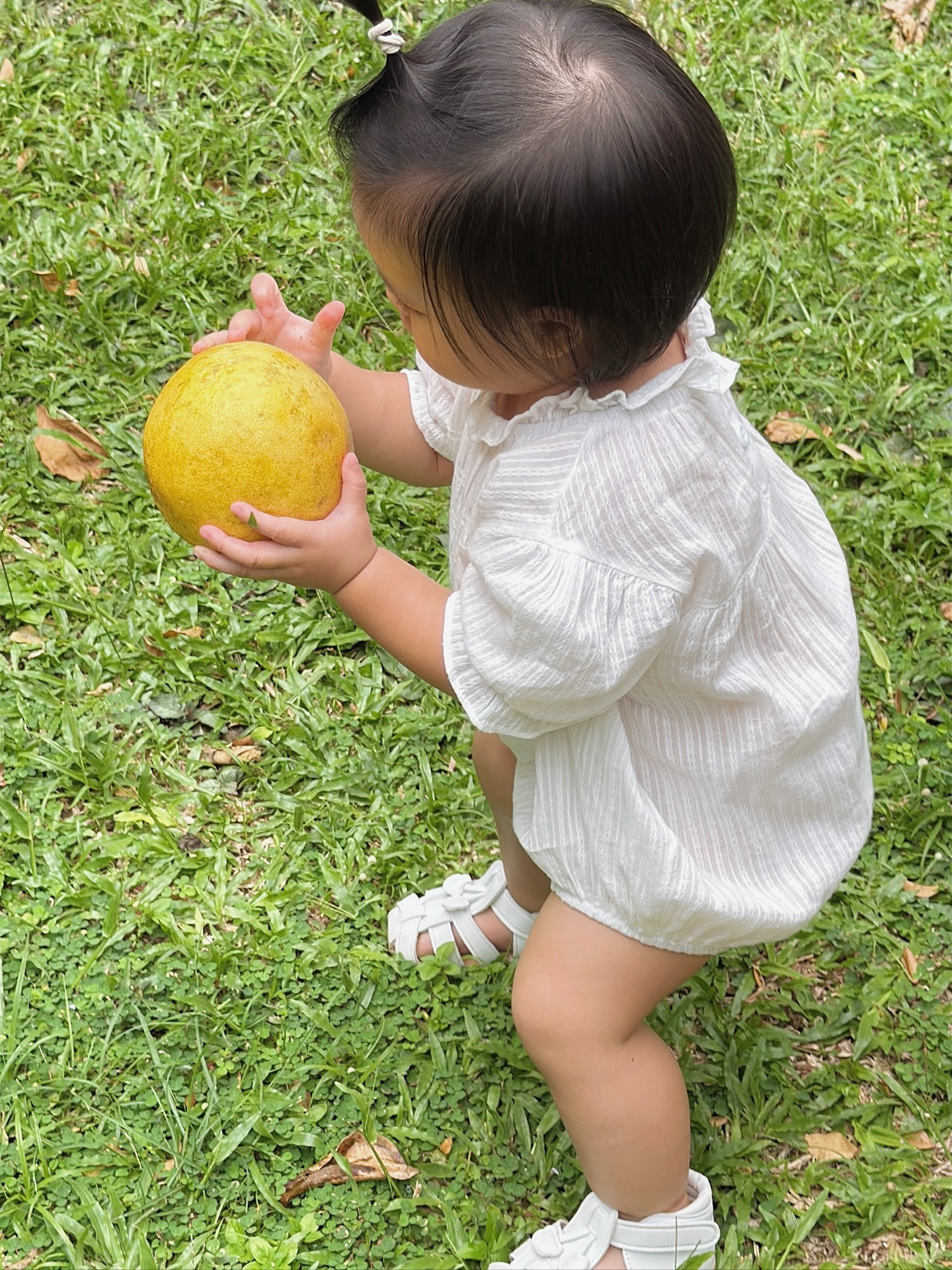 จิ๊บ - ปกฉัตร เทียมชัย