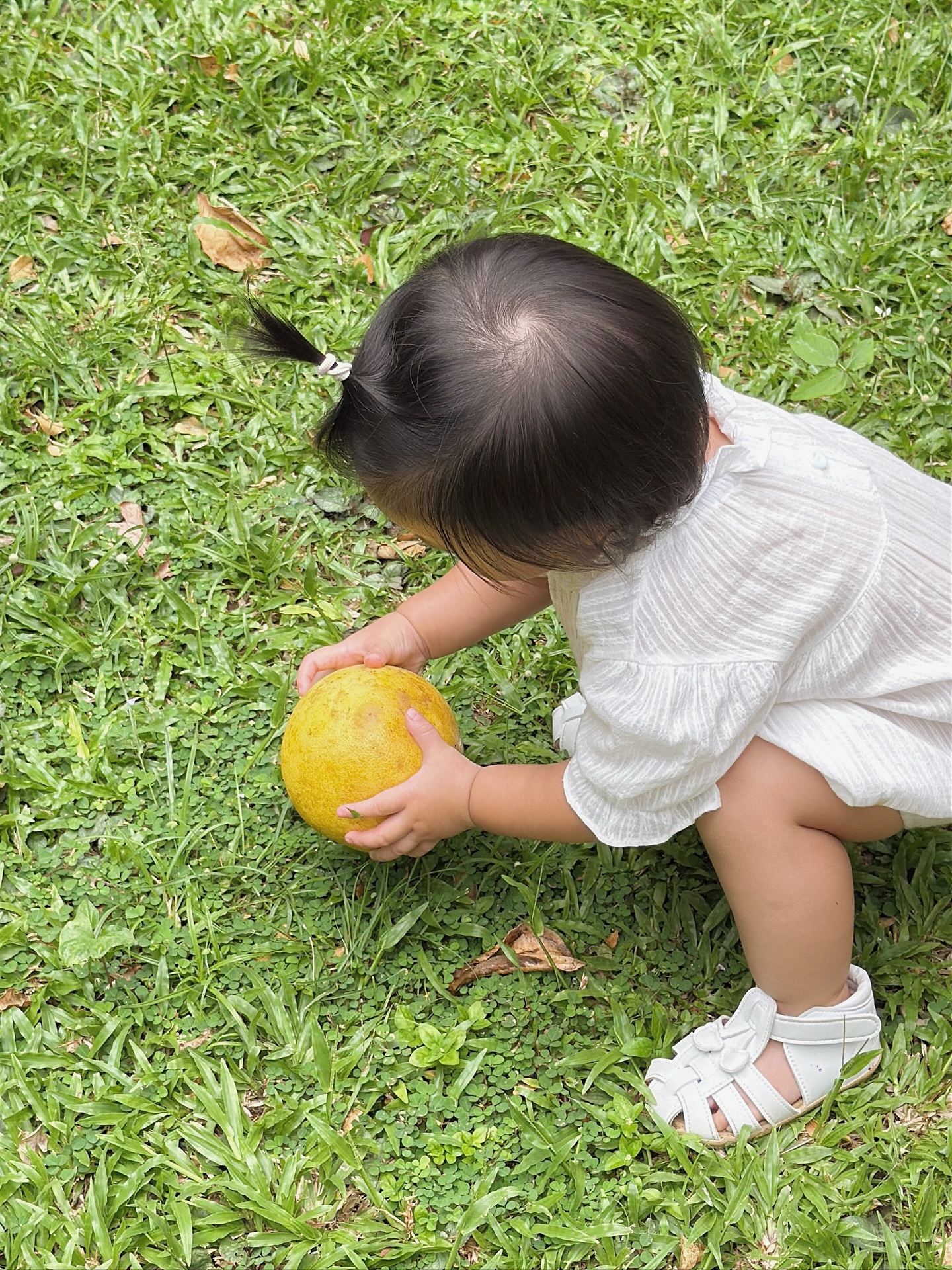 จิ๊บ - ปกฉัตร เทียมชัย