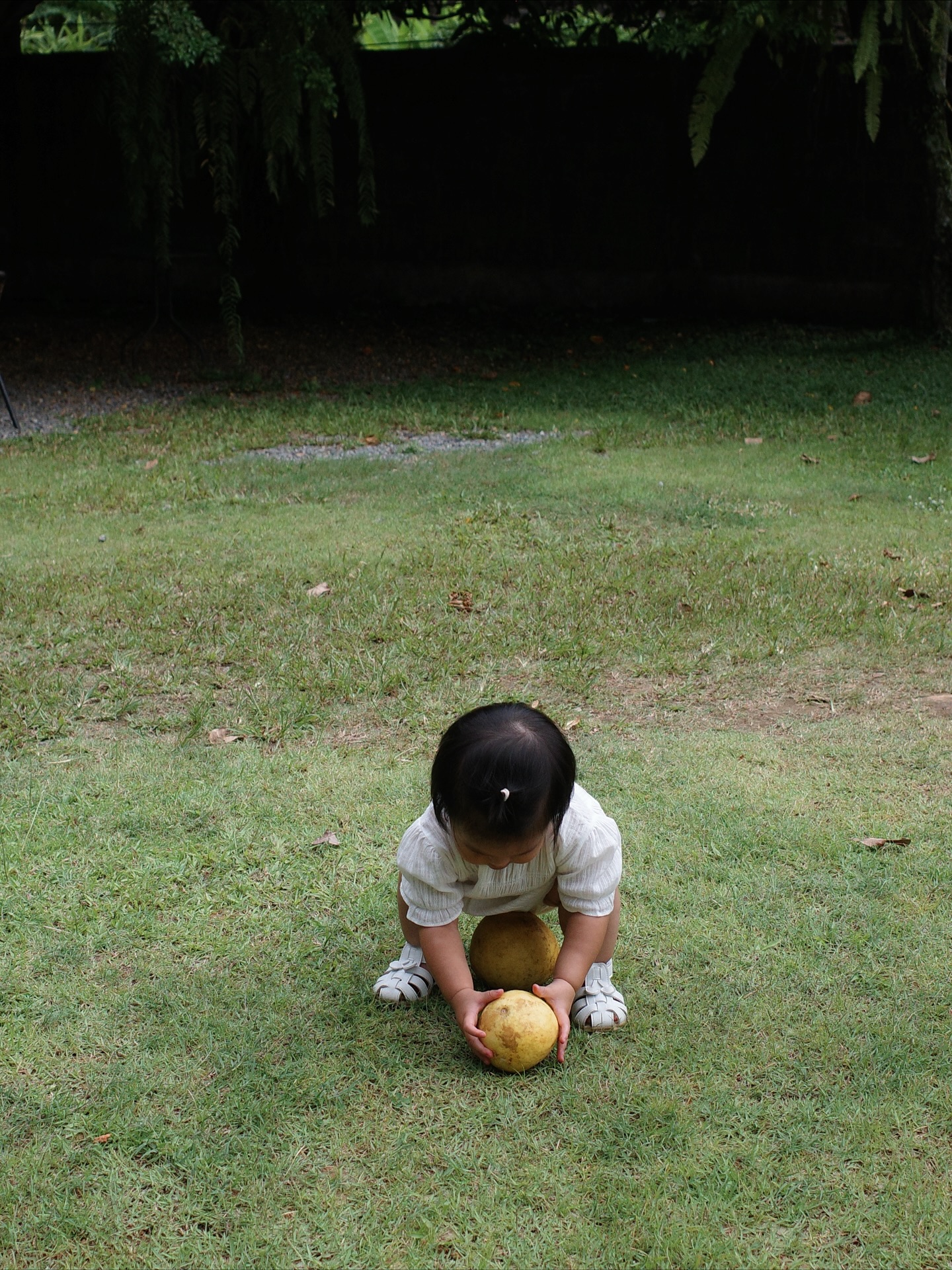 จิ๊บ - ปกฉัตร เทียมชัย