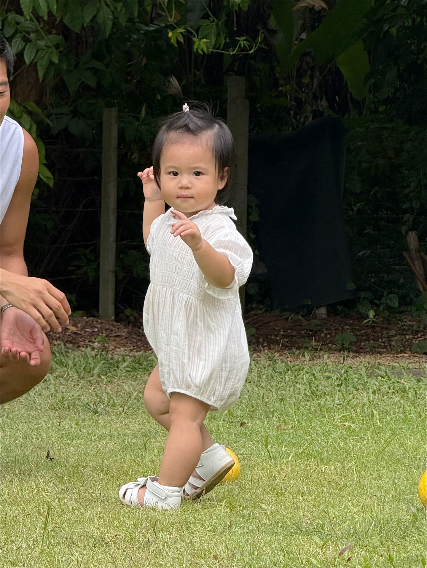 จิ๊บ - ปกฉัตร เทียมชัย