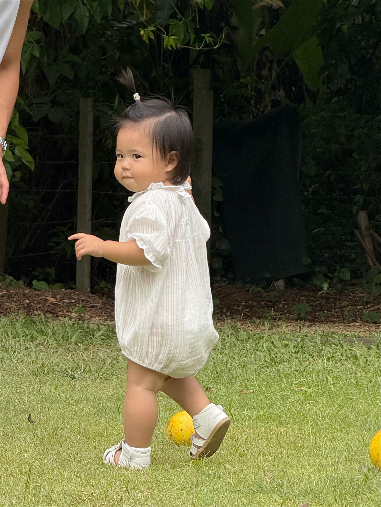 จิ๊บ - ปกฉัตร เทียมชัย